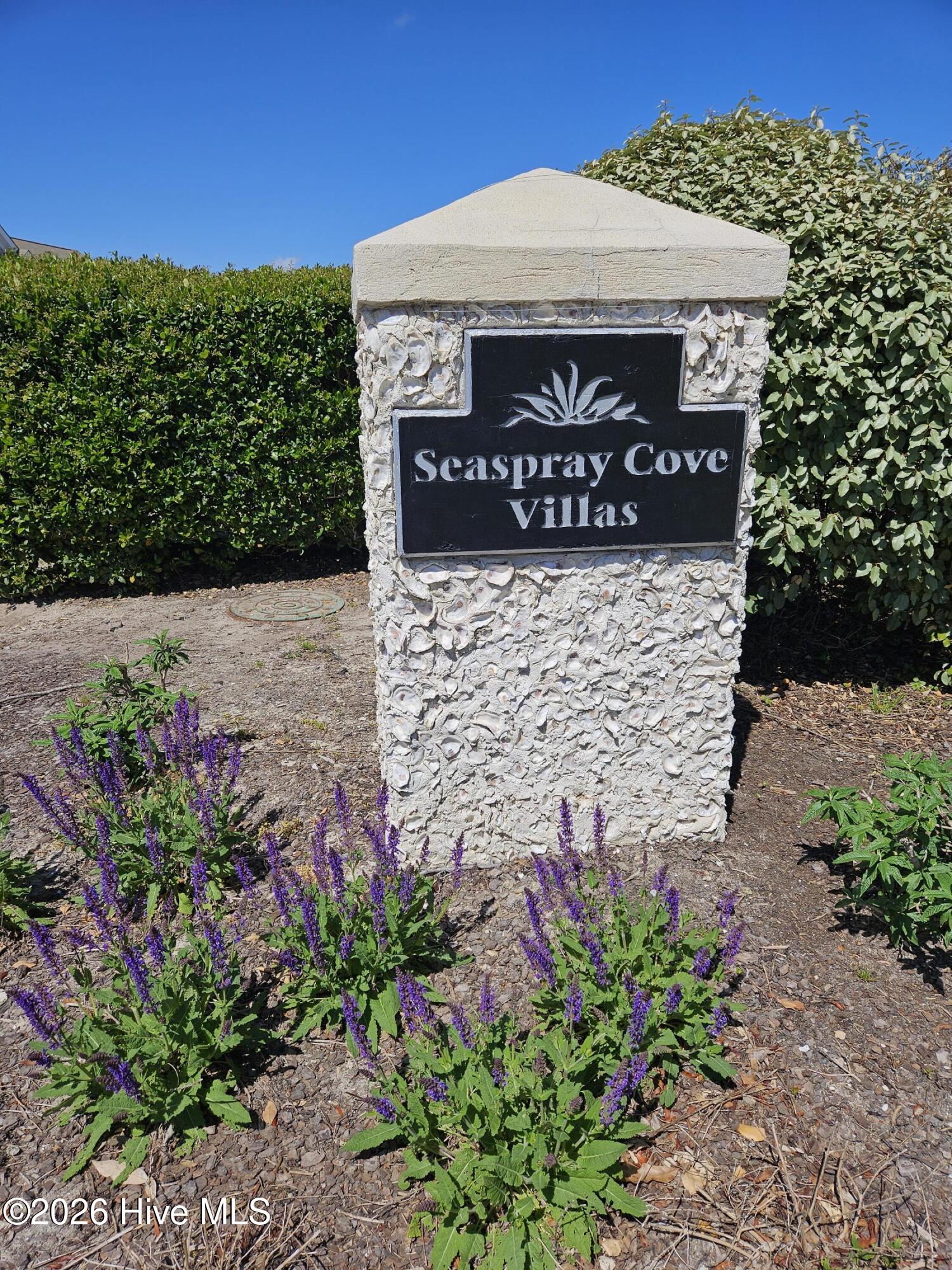 100564958 | Photo 42