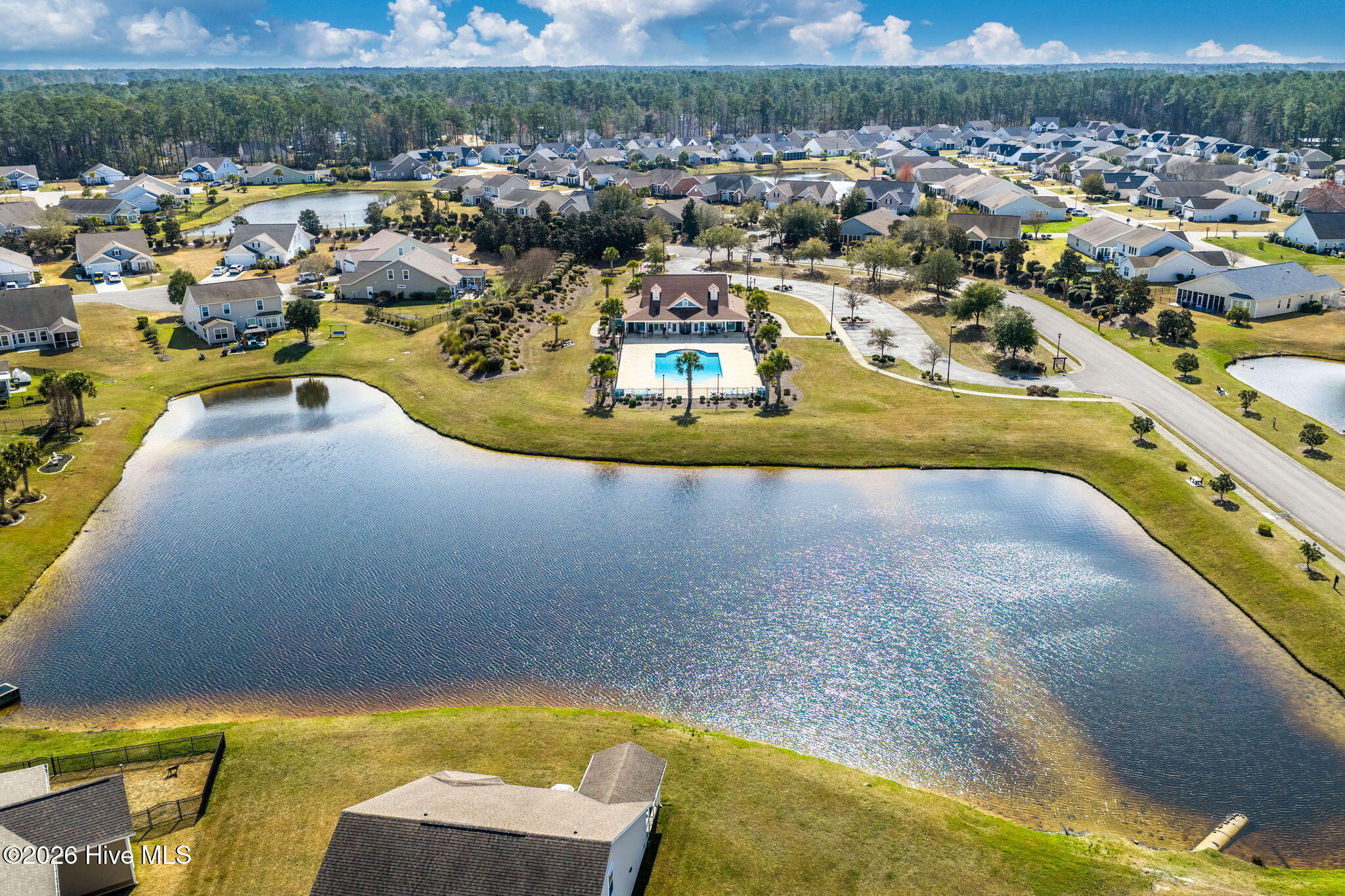 100559245 | Photo 31