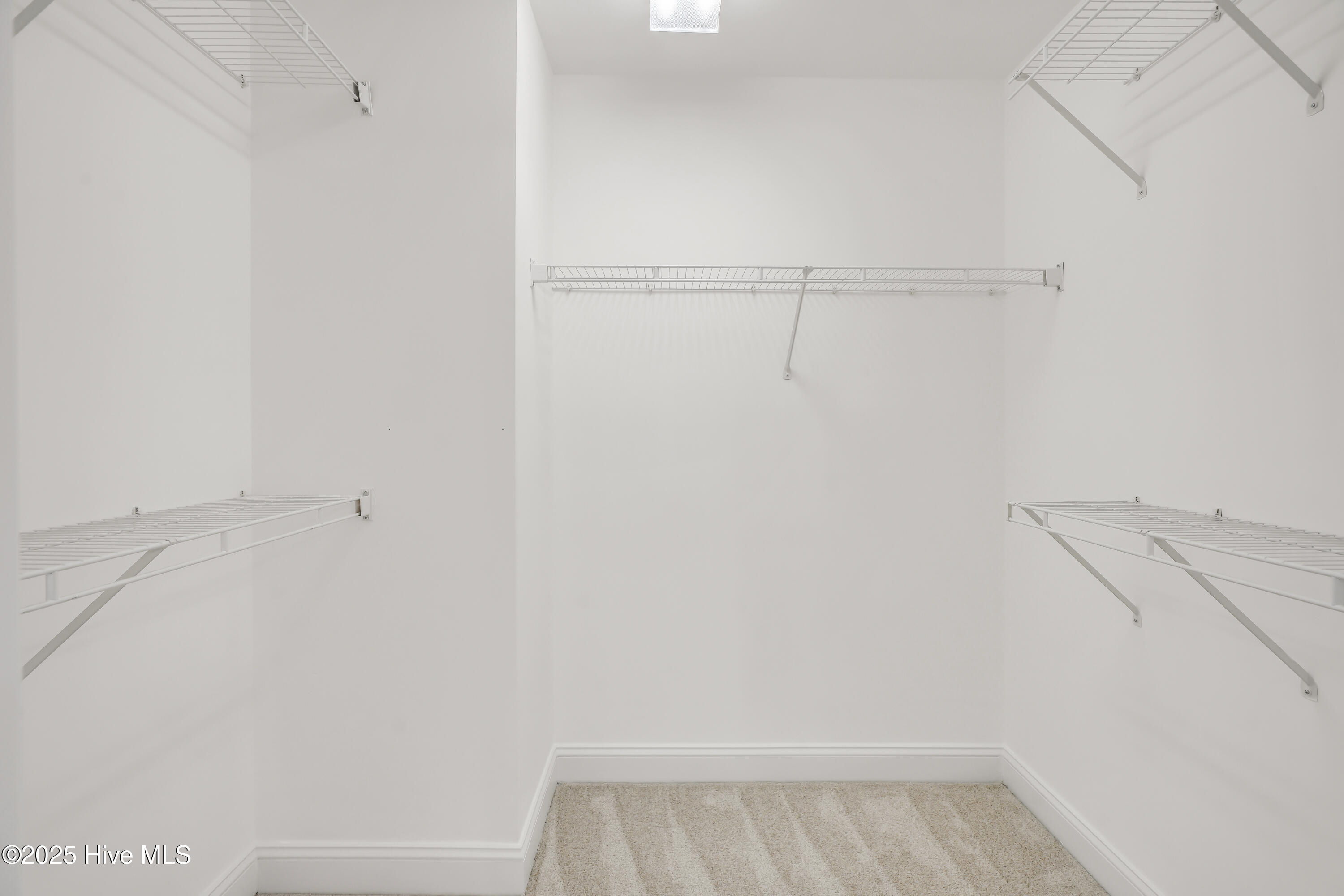 100531017 | Photo 28