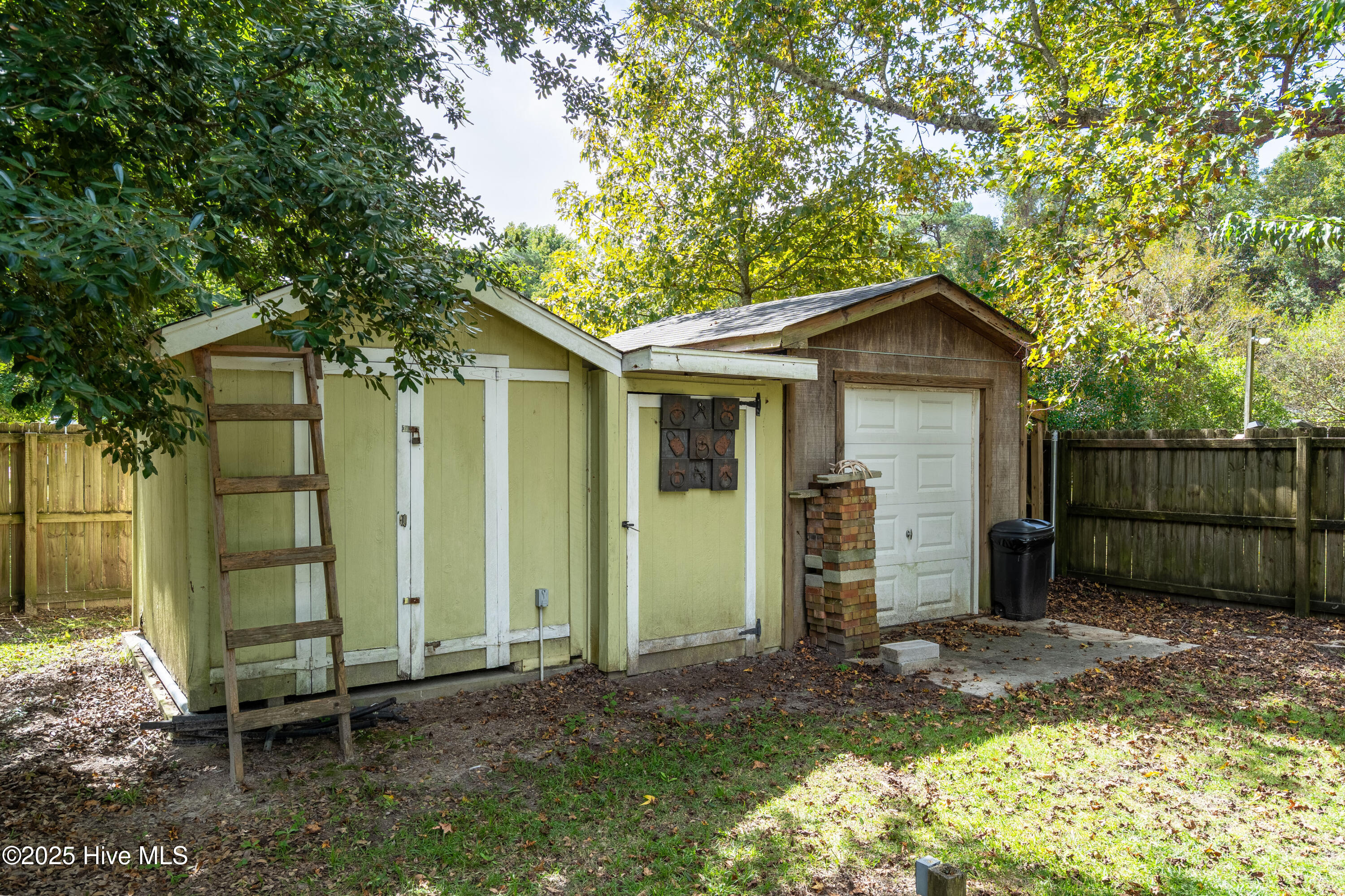 100535124 | Photo 23