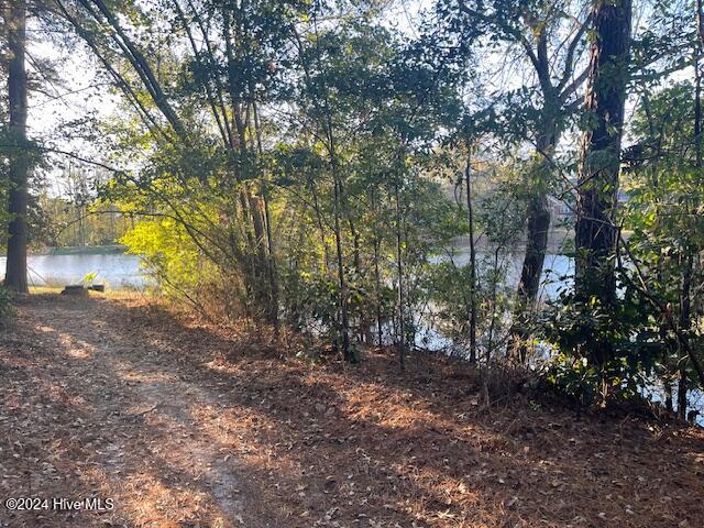 408 Lake Pines Drive, La Grange, NC, 28551