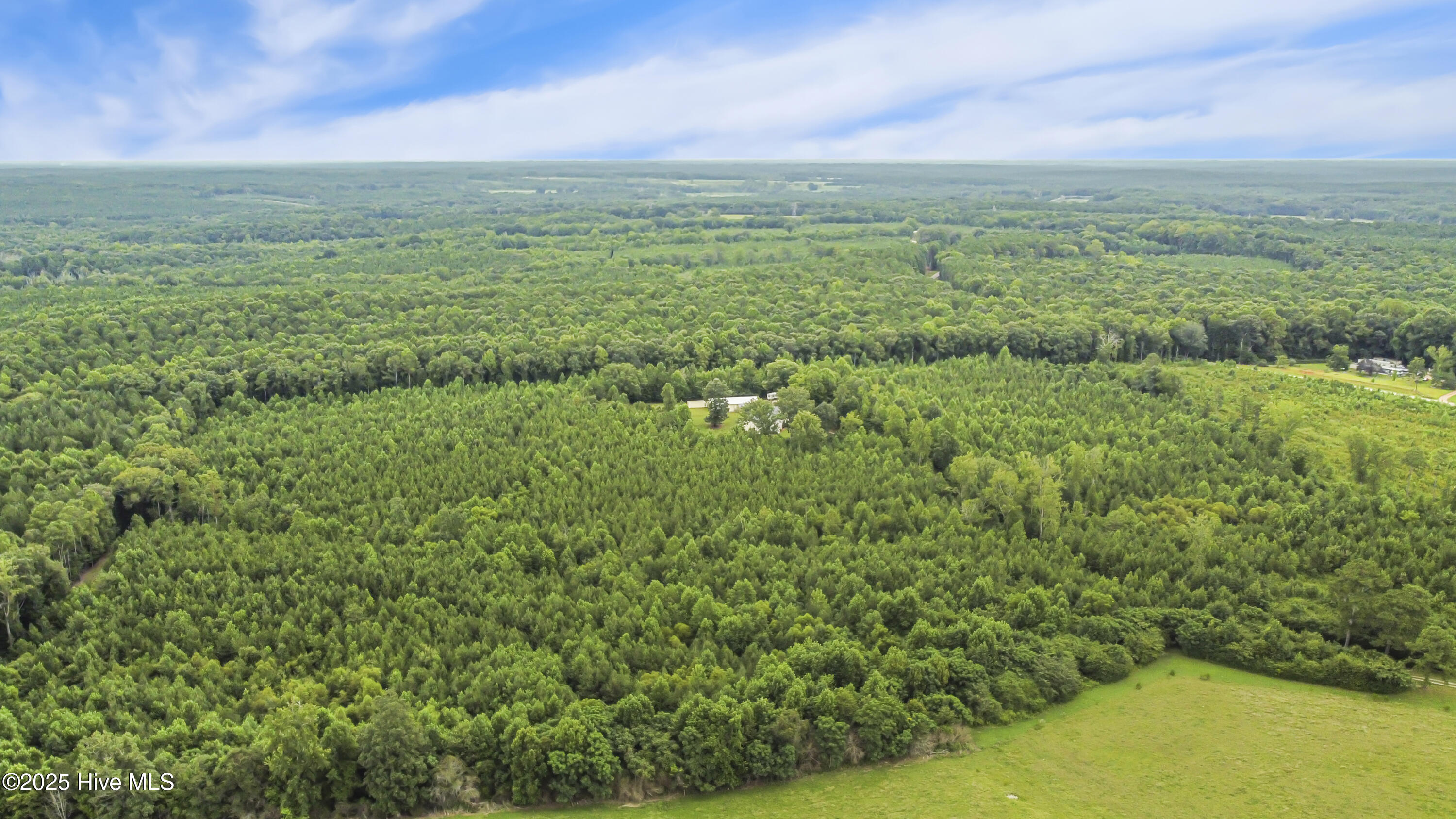 2150 Nc 58, Castalia, NC, 27816