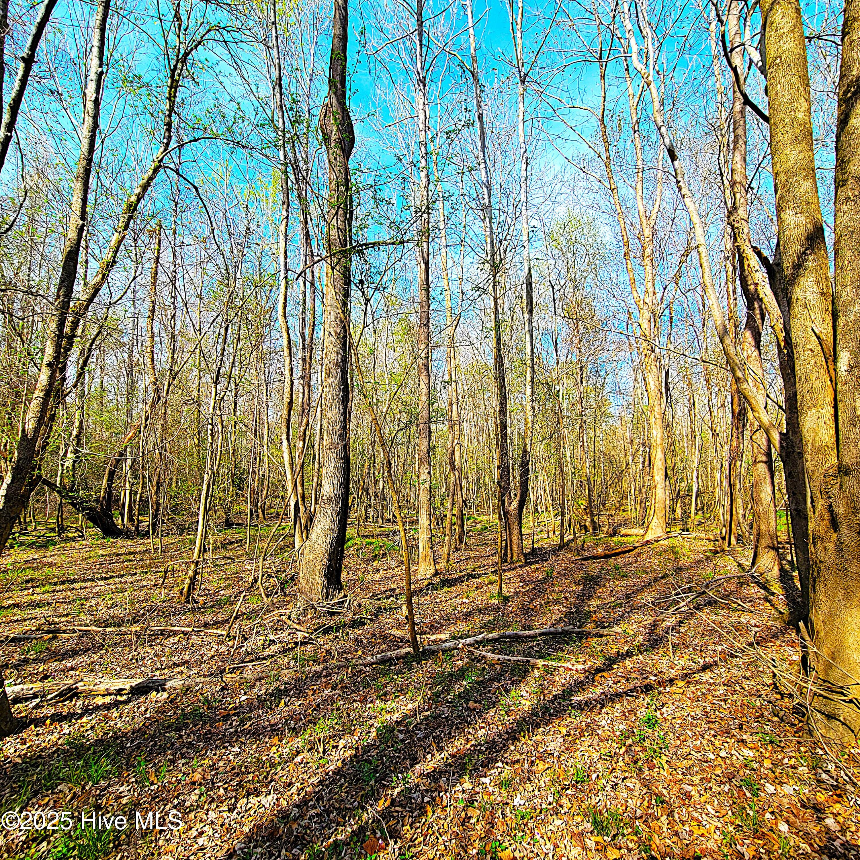 100496184 | Photo 23