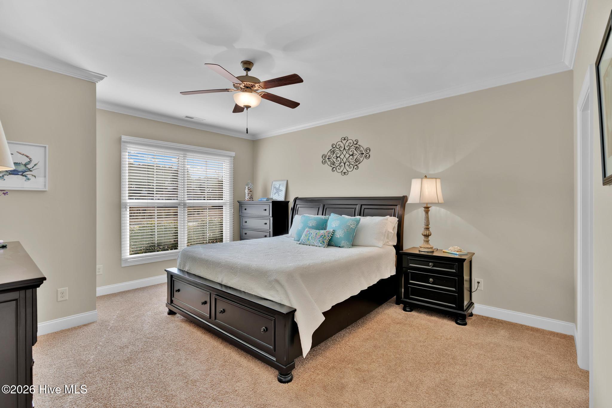 100556284 | Photo 20