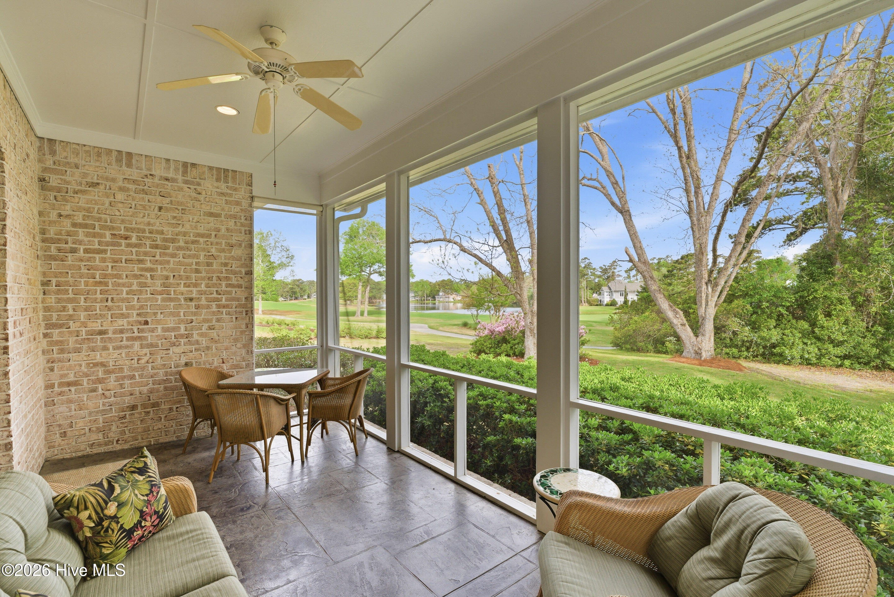 100568595 | Photo 16