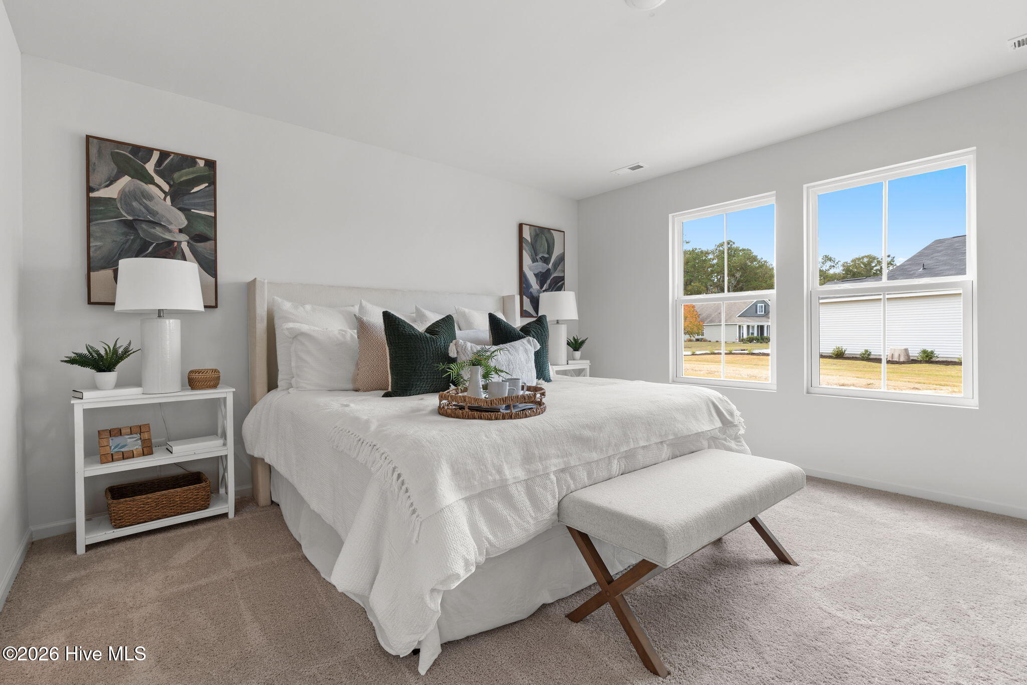 100556592 | Photo 19