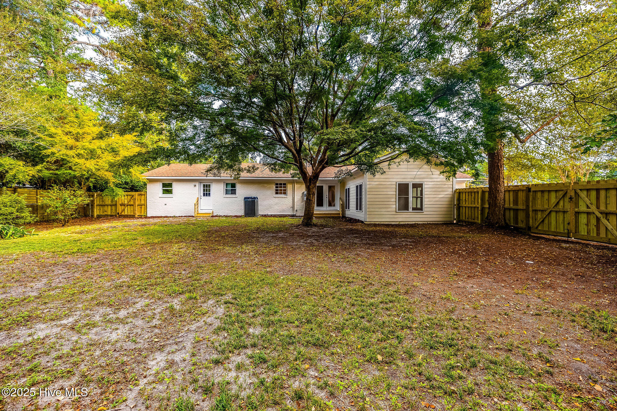 100529892 | Photo 41