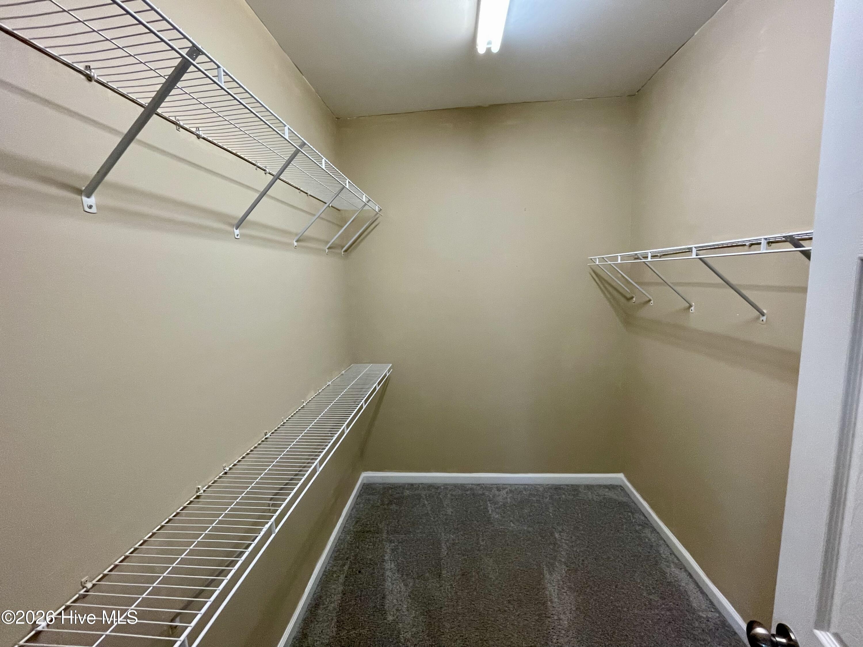 100560994 | Photo 14