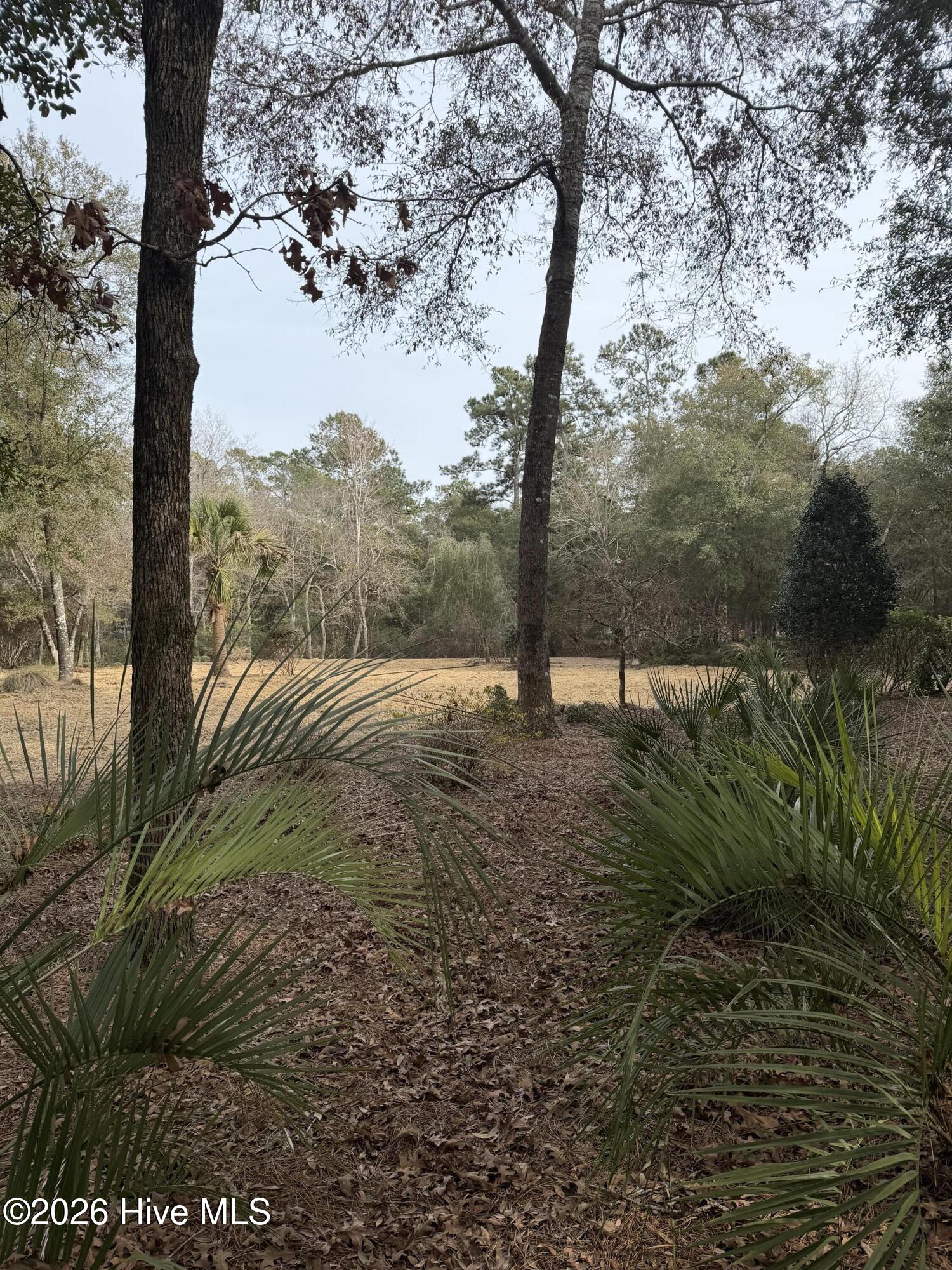 100557088 | Photo 10