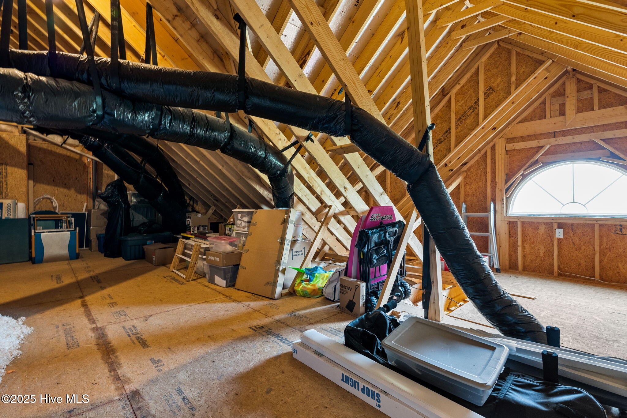 100521657 | Photo 57