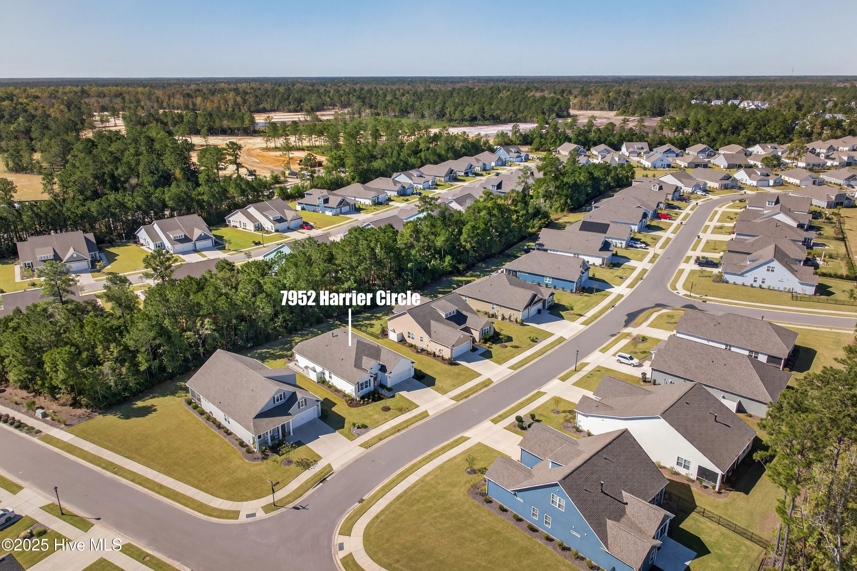 100538241 | Photo 44