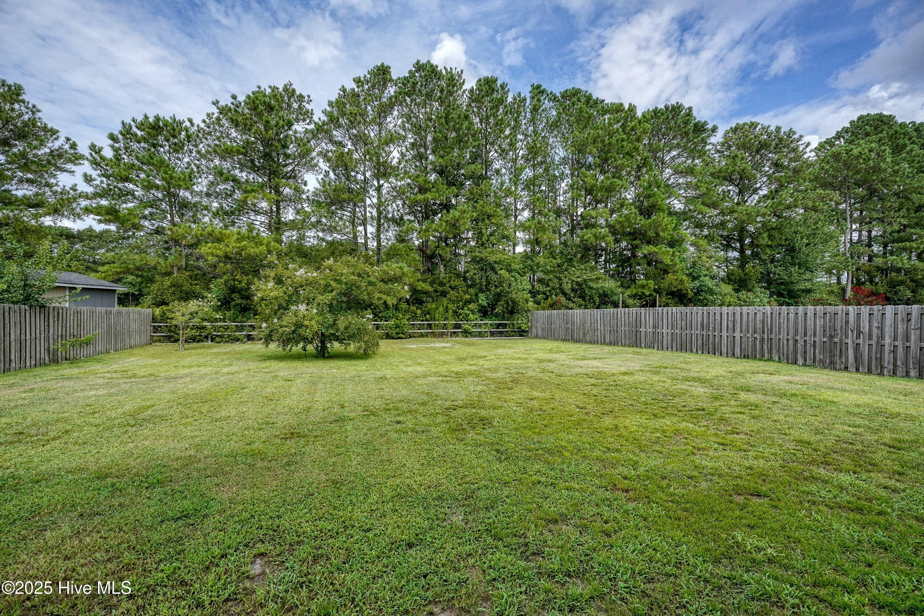 100543084 | Photo 47