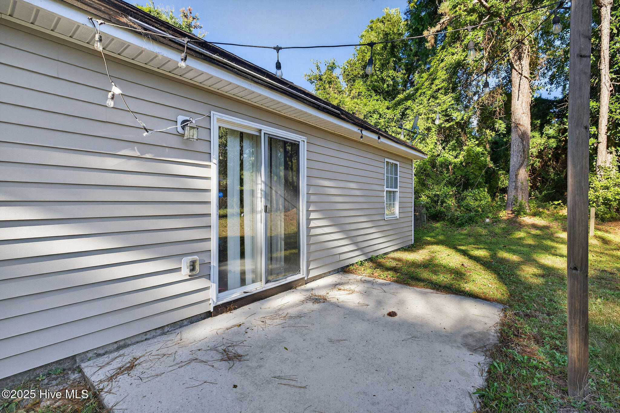 100538526 | Photo 10