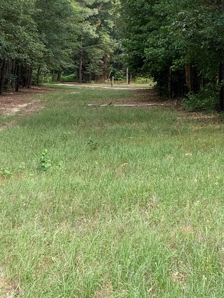 3261 Highway 102 E, Gibson, GA 30810 Listing Photo  3