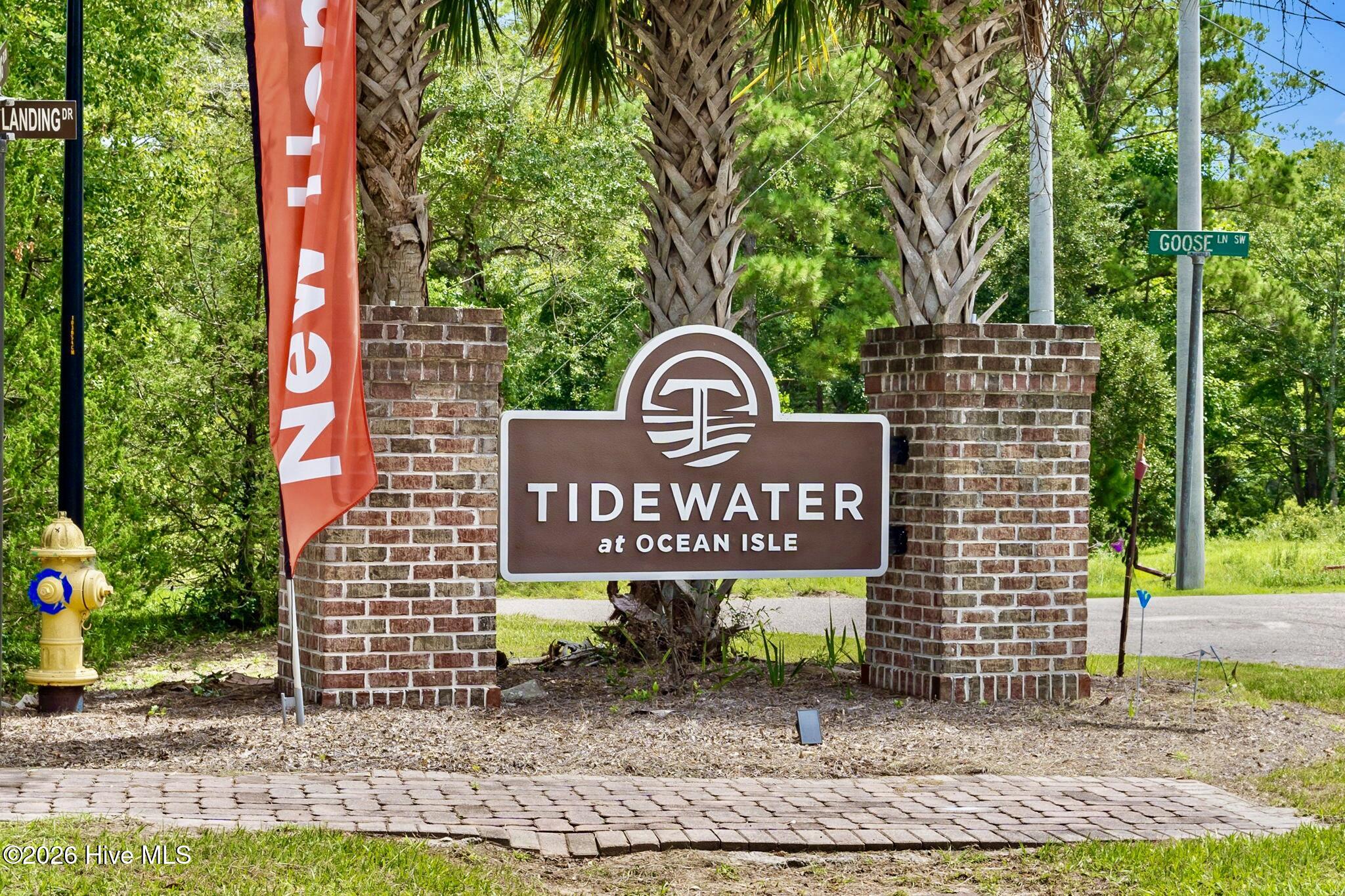 100530218 | Photo 58