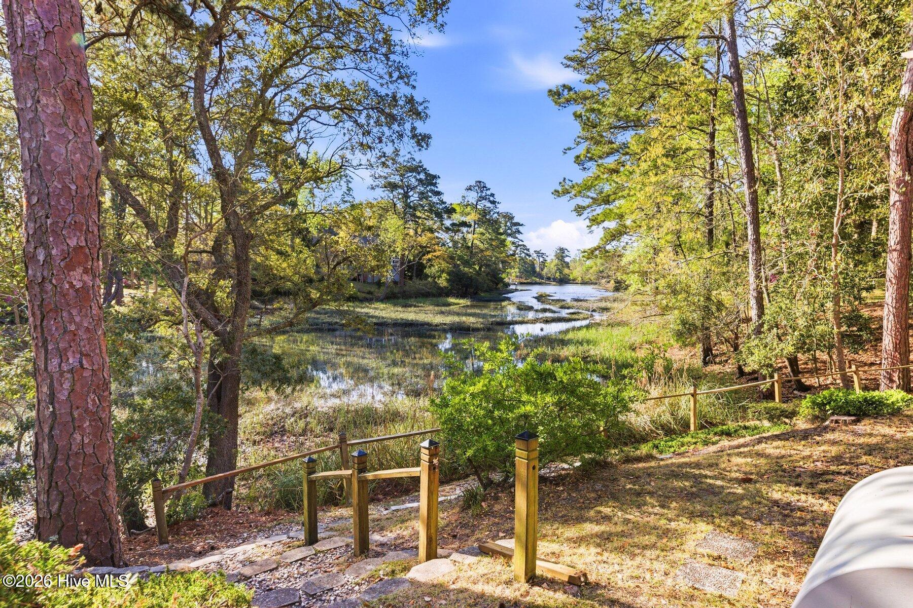 100564189 | Photo 10