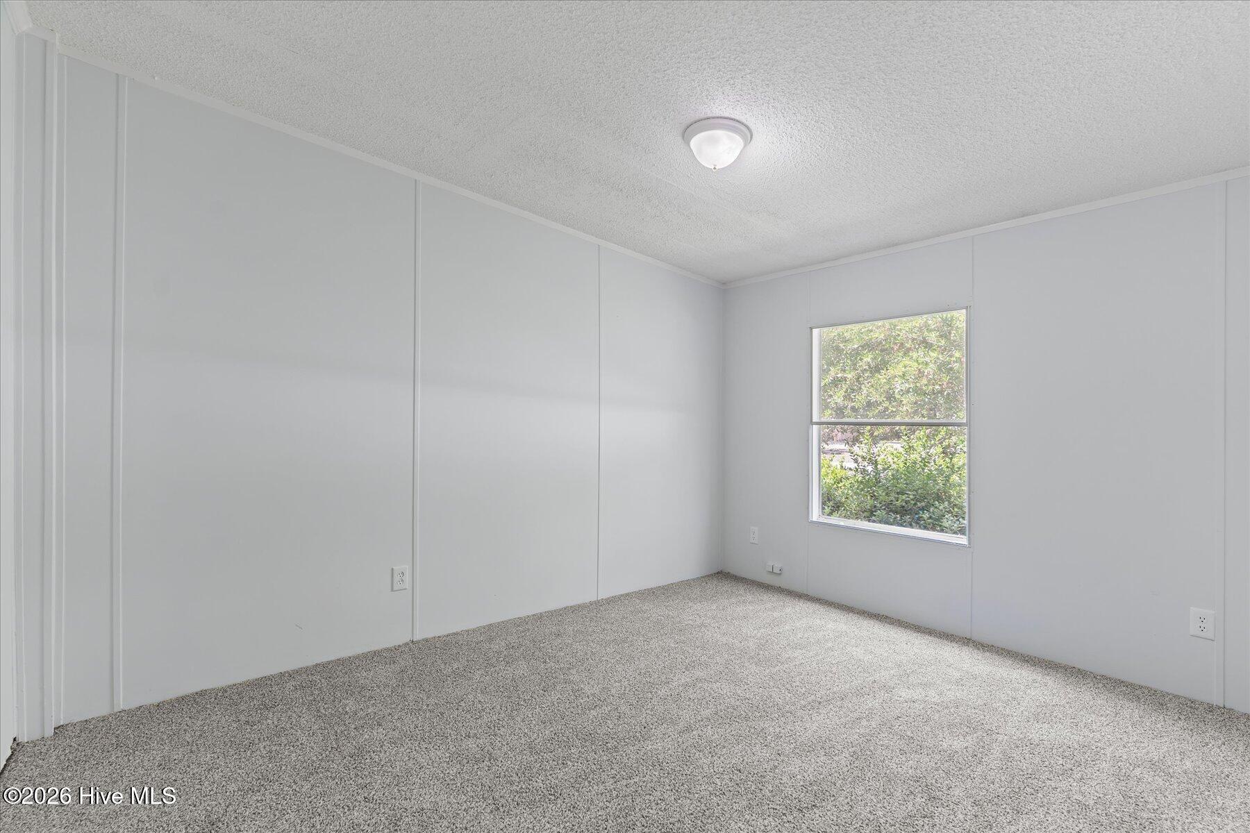 100567568 | Photo 36