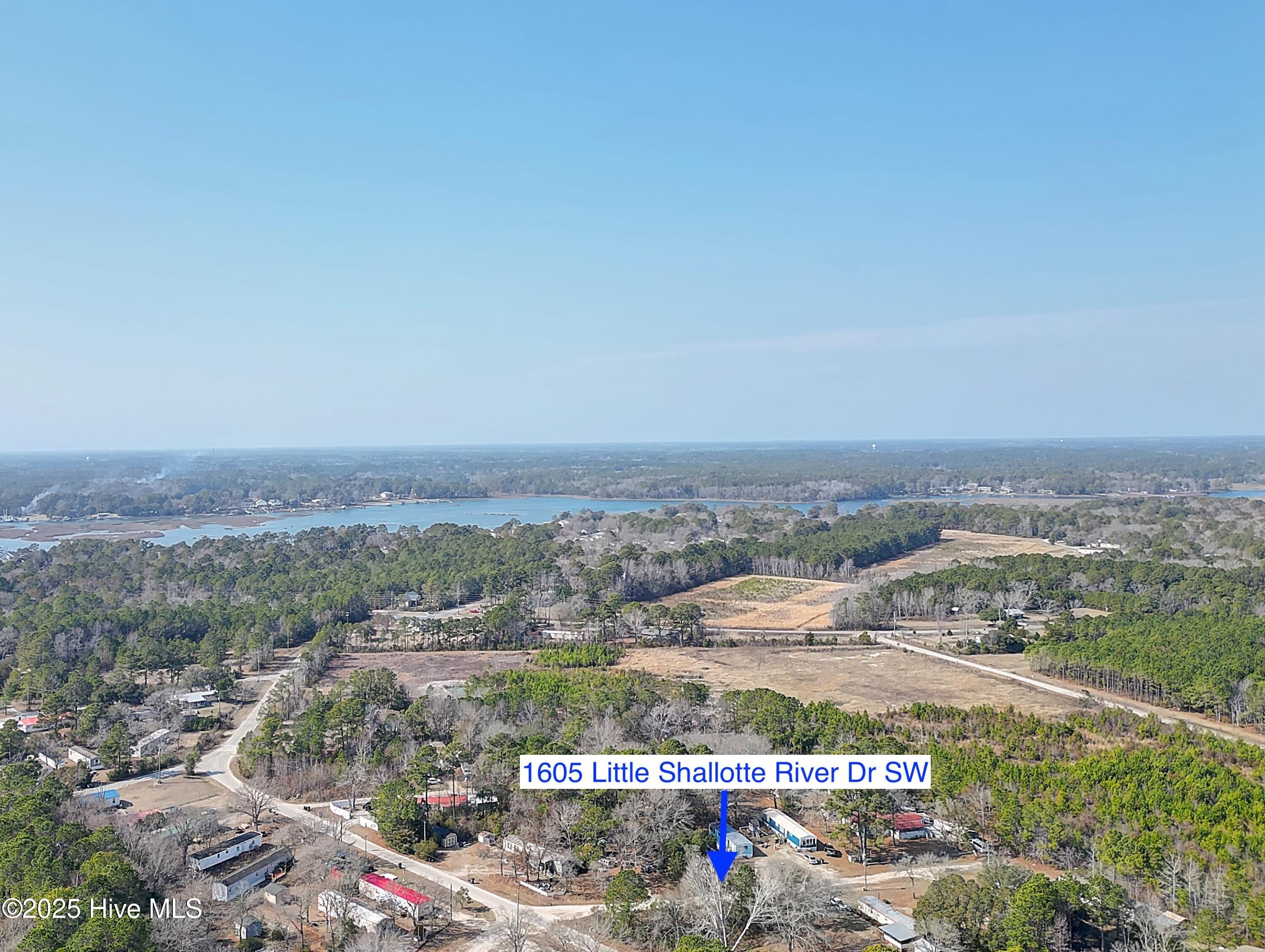 100559646 | Photo 12