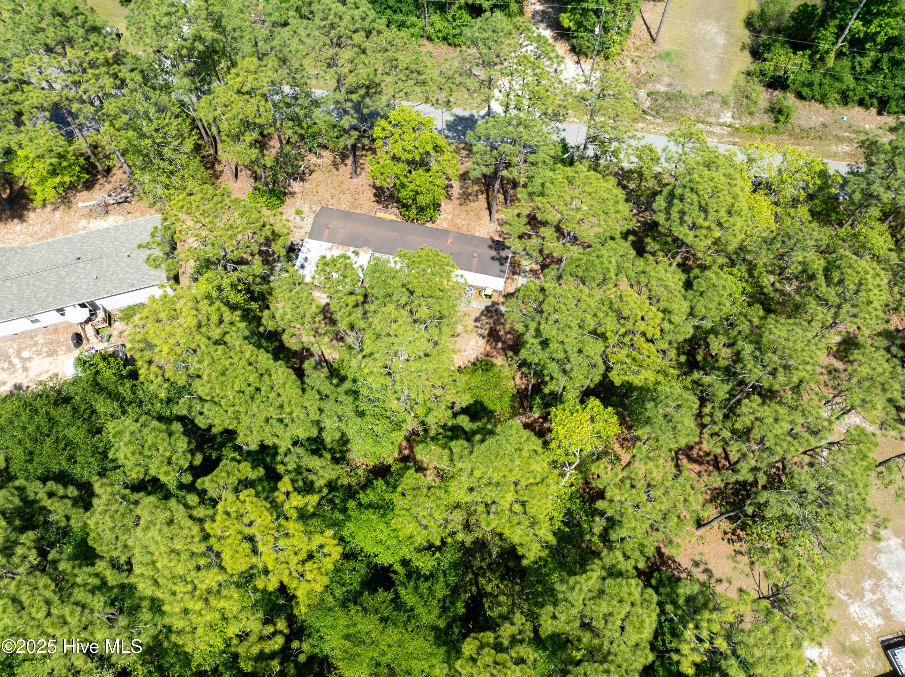 100562798 | Photo 28