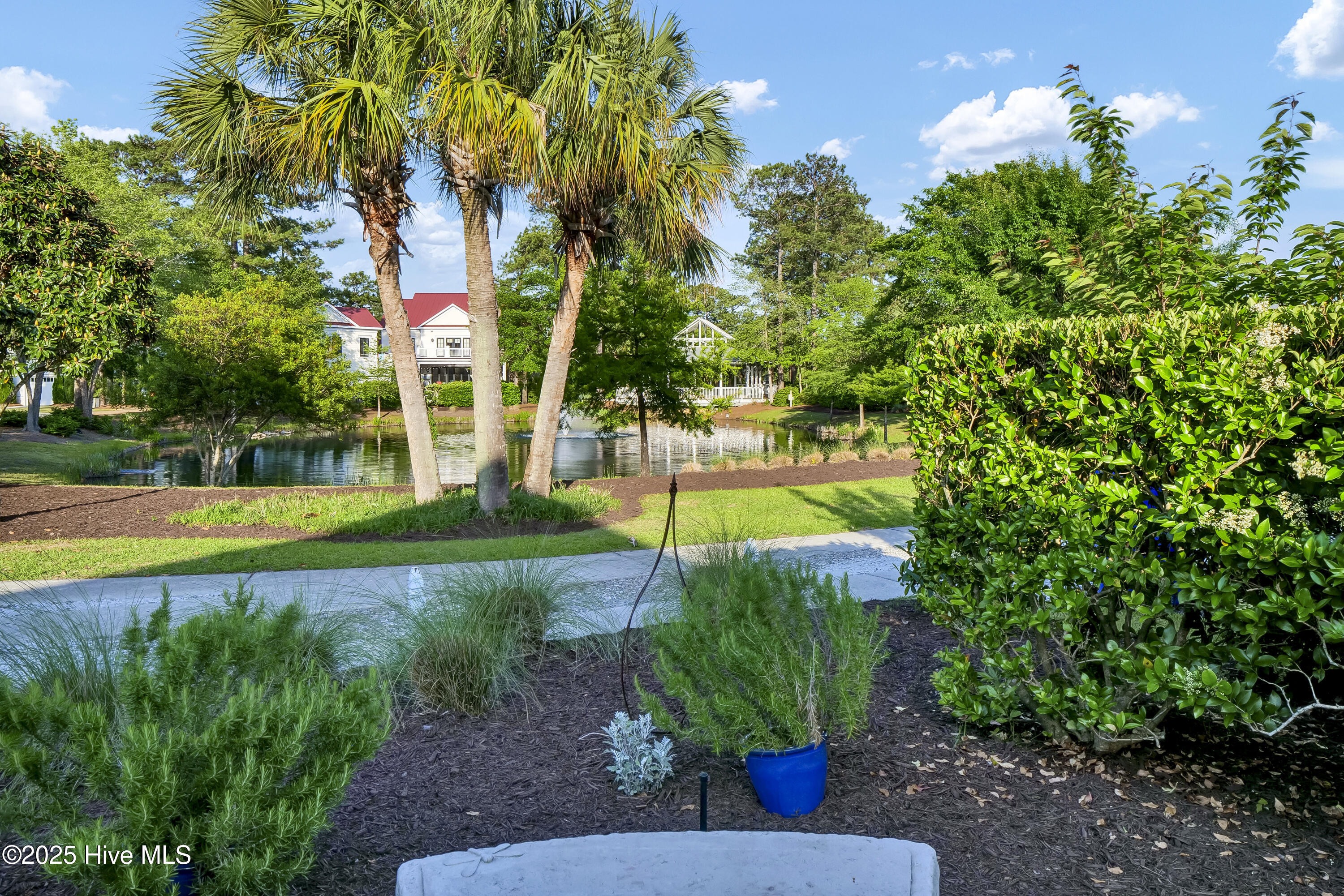 100504953 | Photo 45