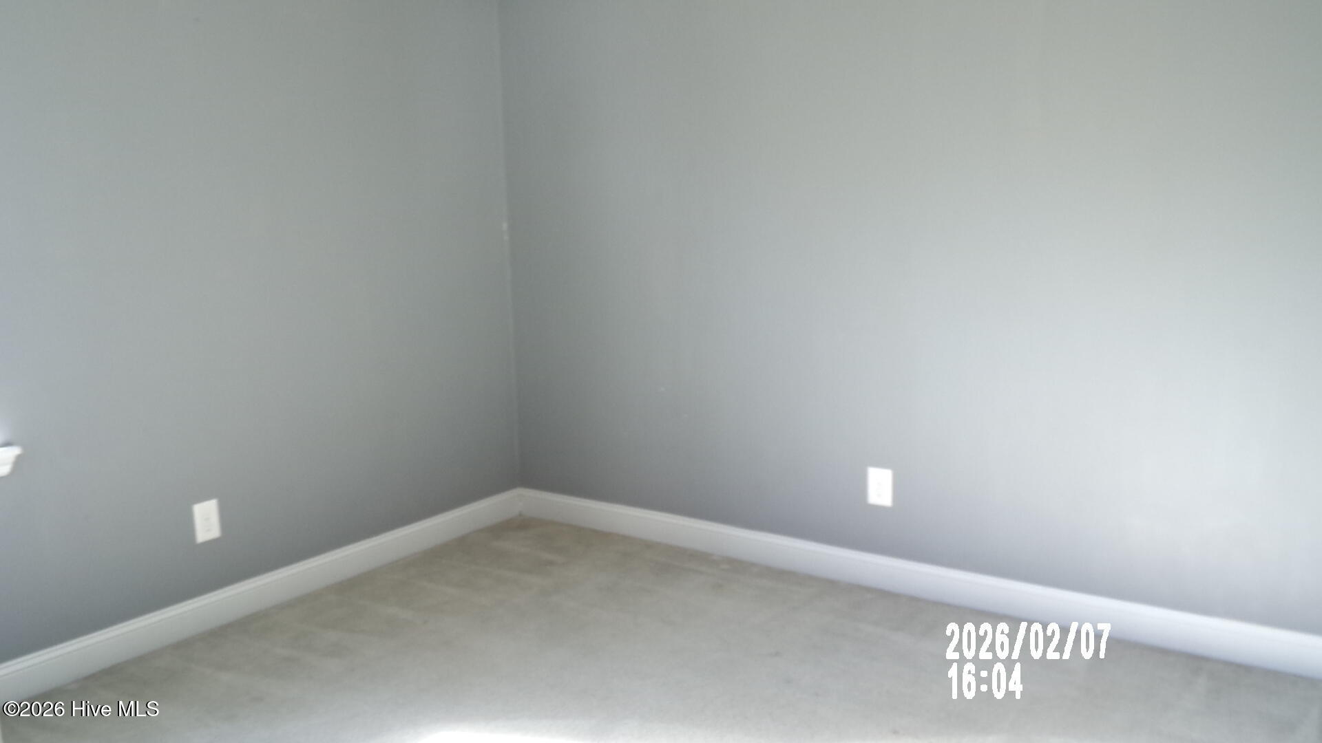 100559410 | Photo 11