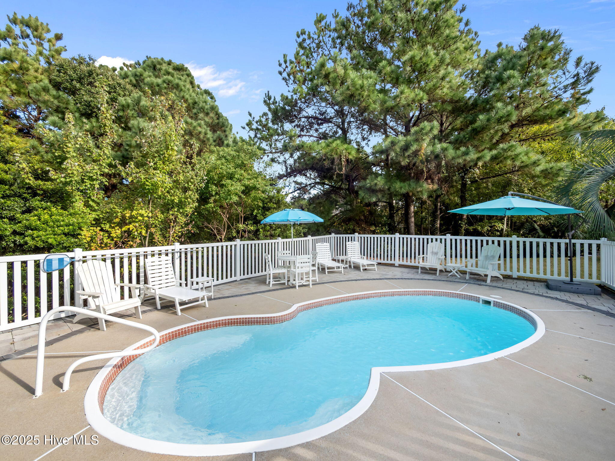 100541168 | Photo 40