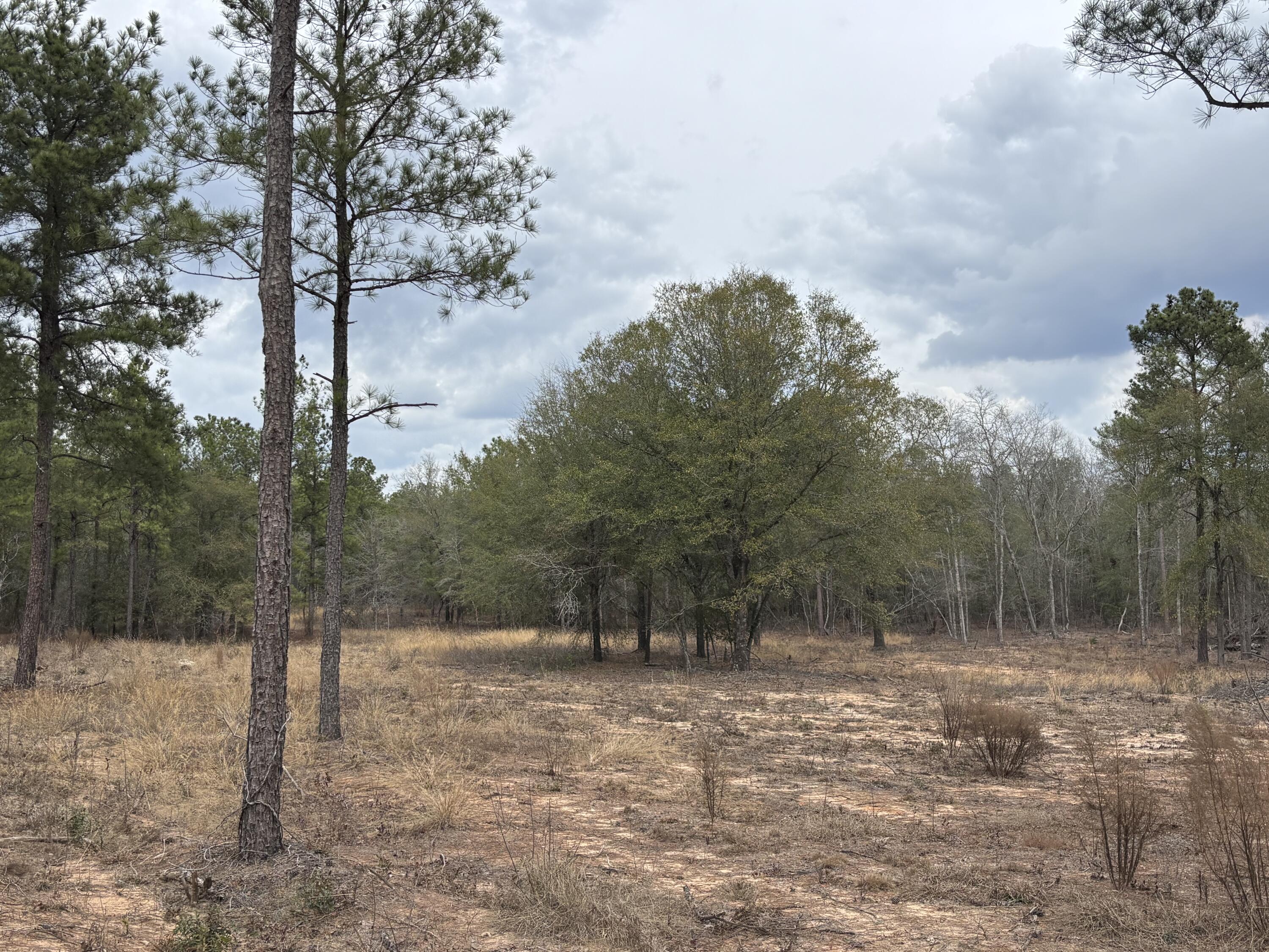 Homes for sale in Blythe, GA | 745 Wright Allen Rd, Blythe, GA 30805 | MLS# 98254528