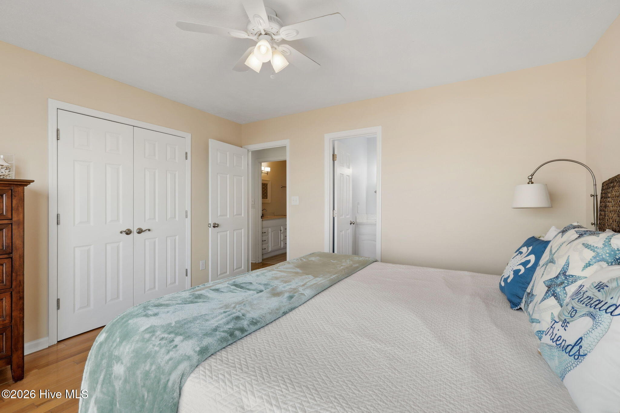 100556702 | Photo 30