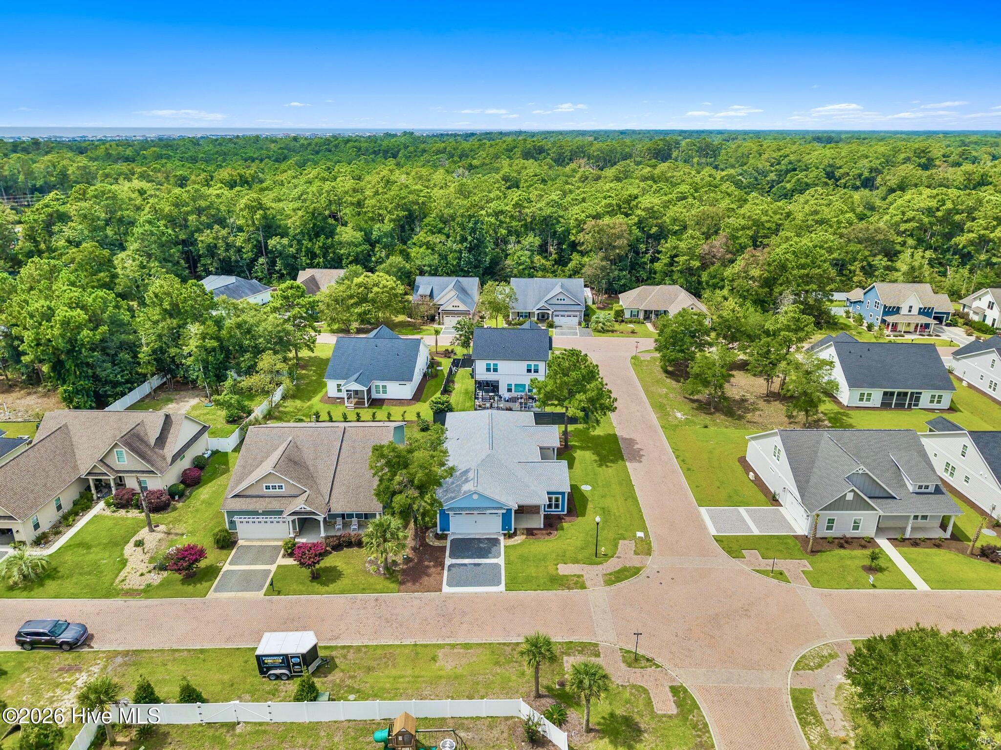 100530218 | Photo 50