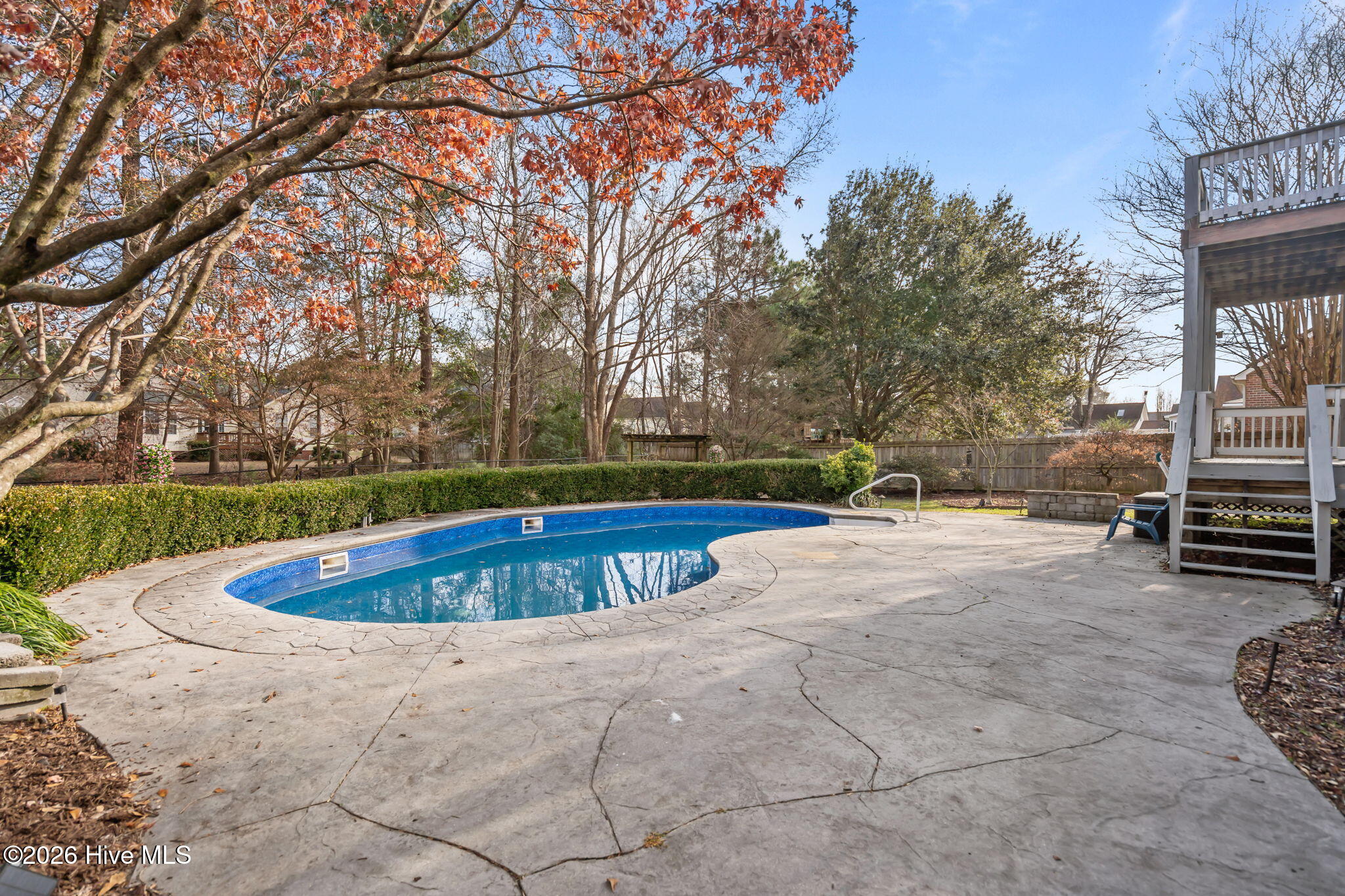 100548092 | Photo 60