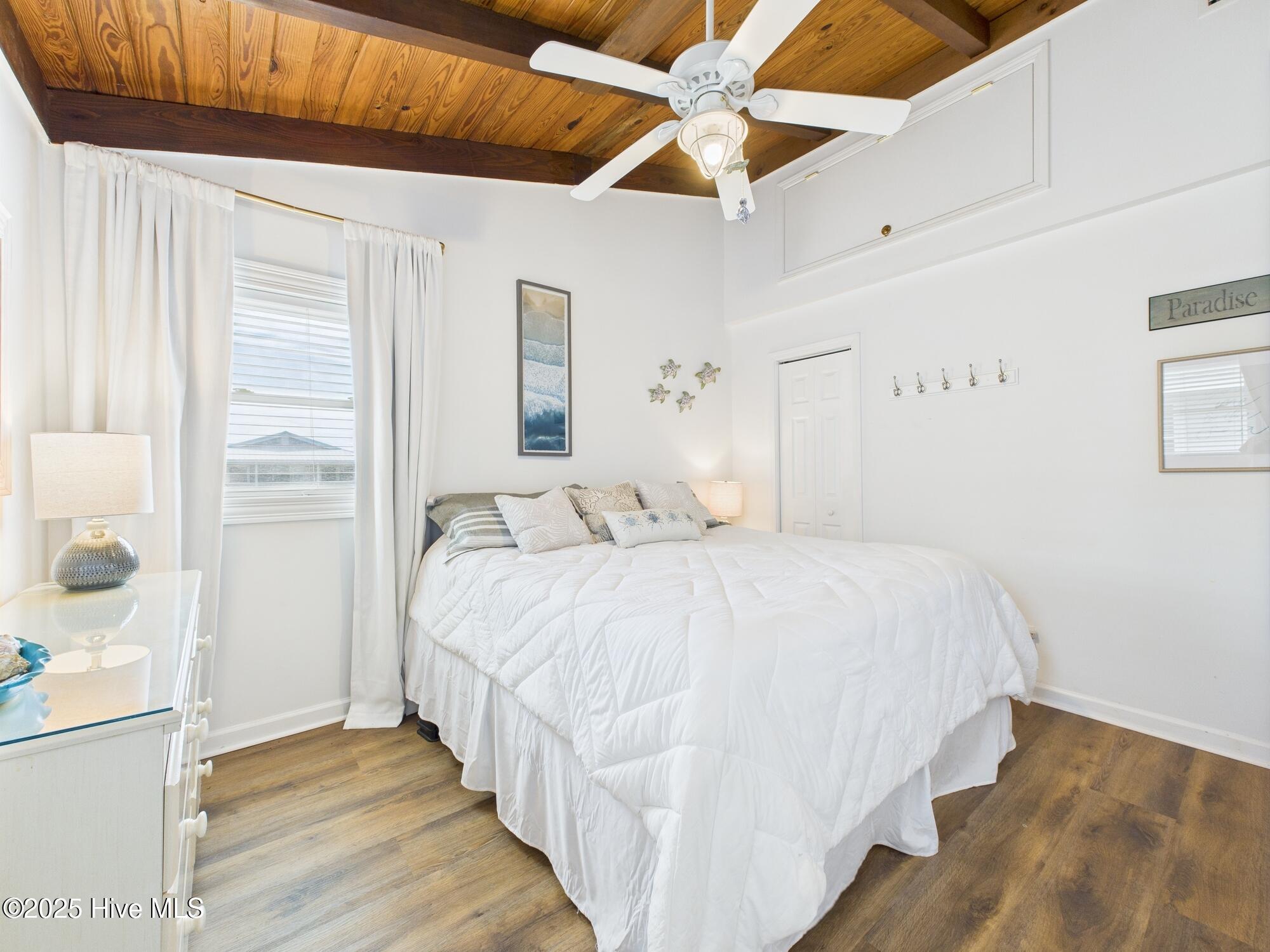 100558213 | Photo 11