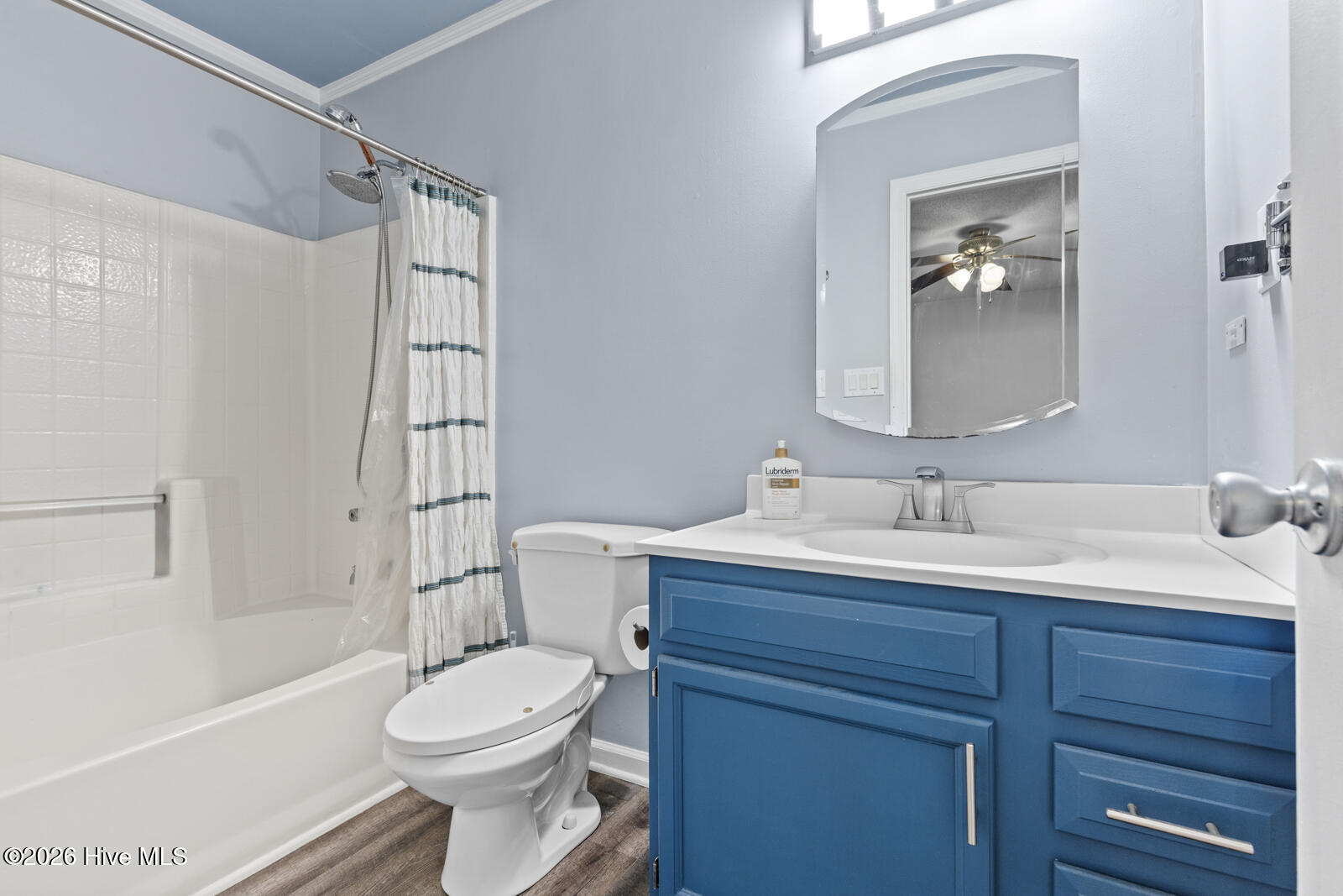 100565866 | Photo 12