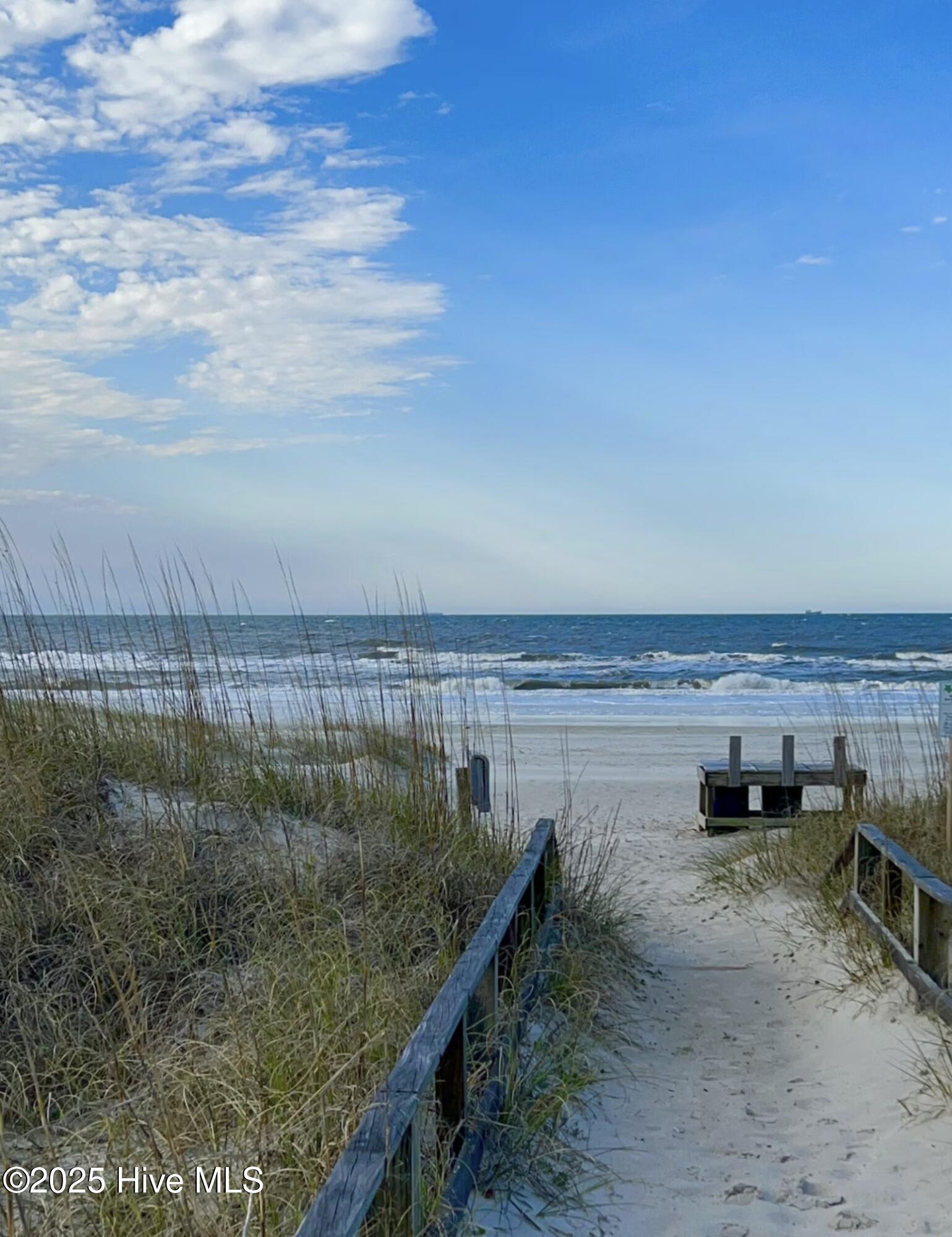 100537146 | Photo 63