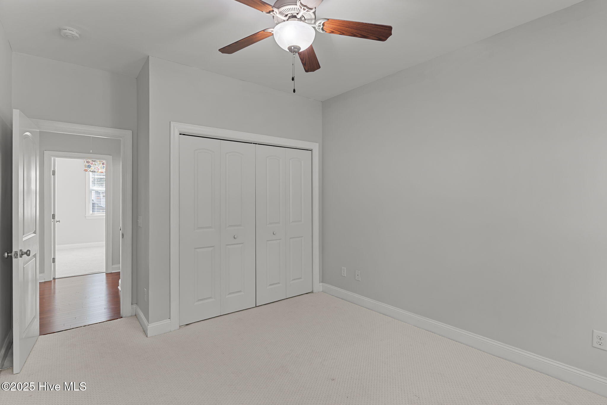 100537665 | Photo 31