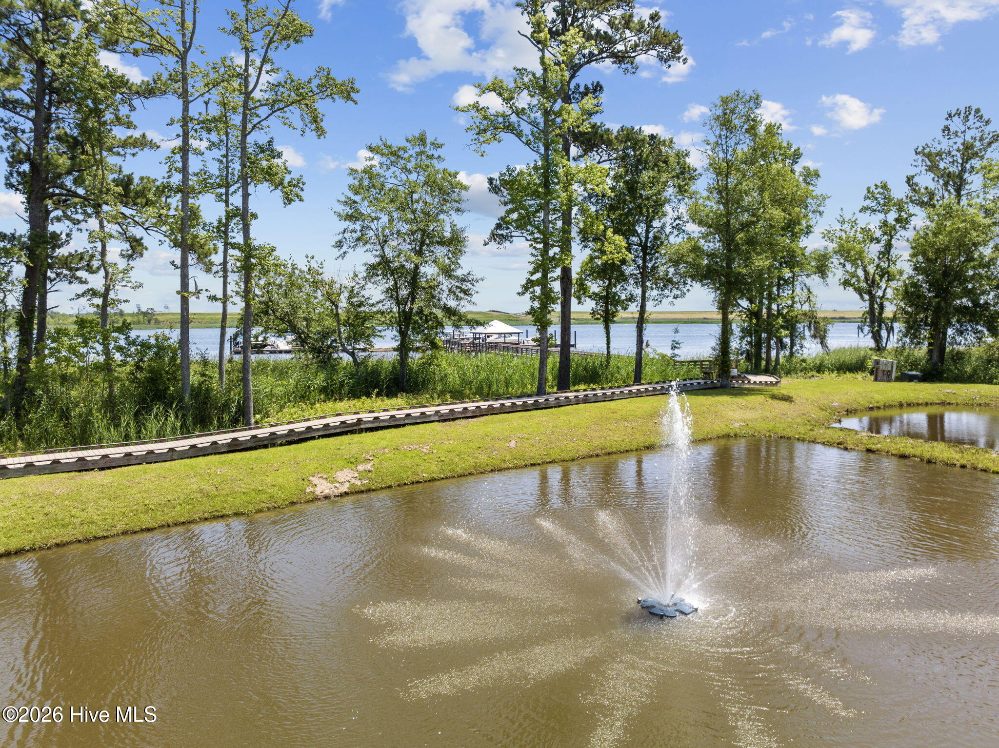 100554363 | Photo 50