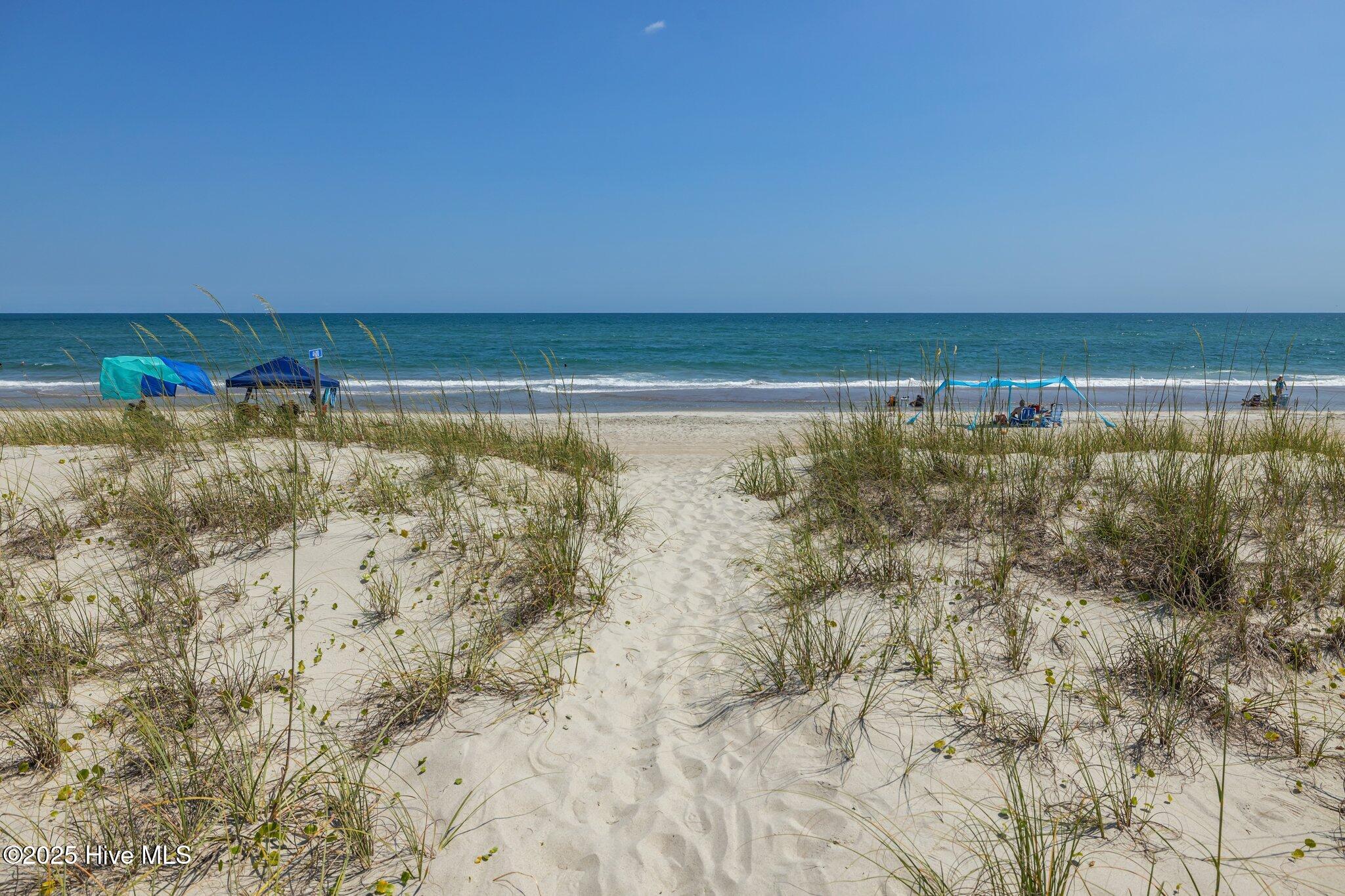 100515431 | Photo 56