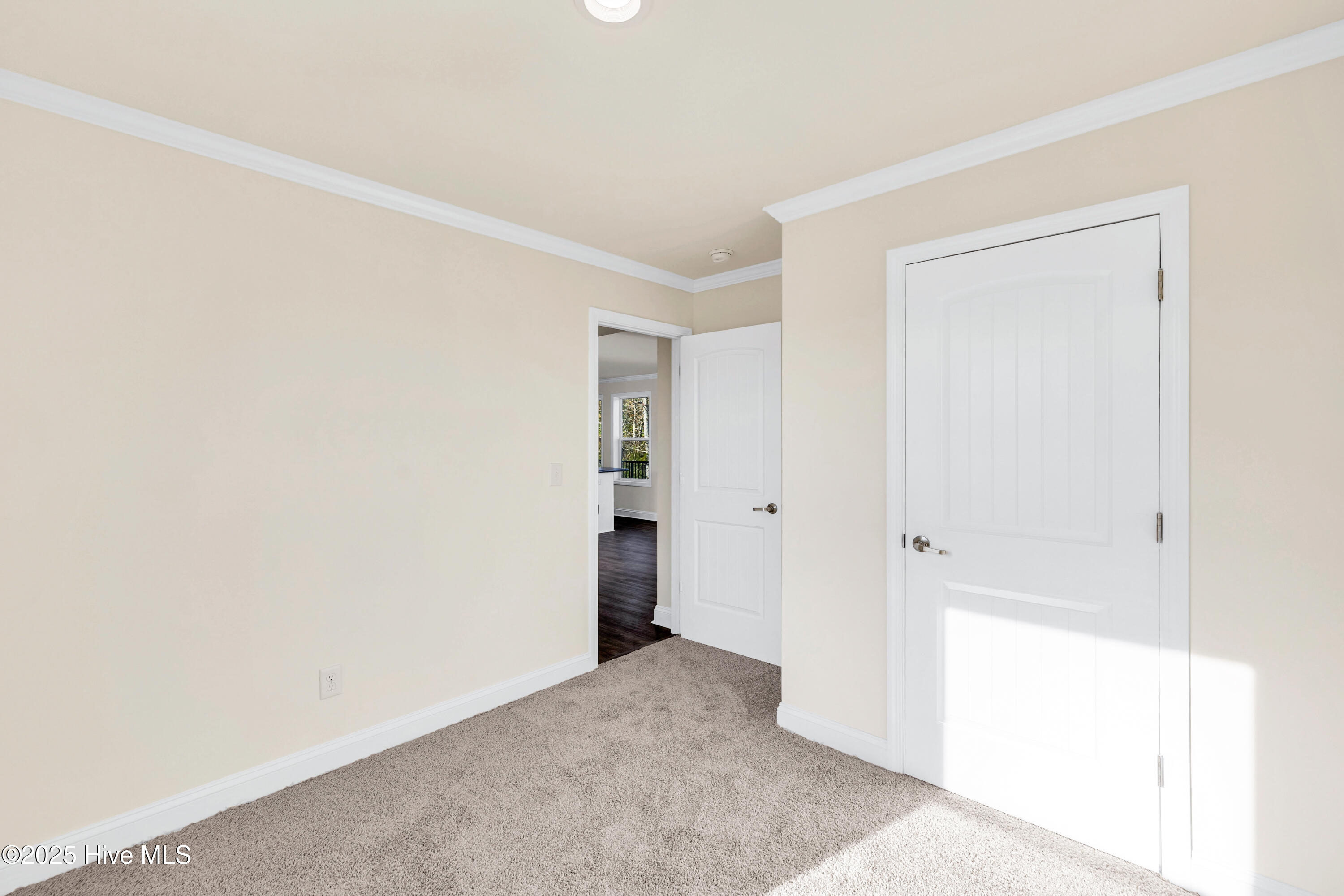 100543416 | Photo 12