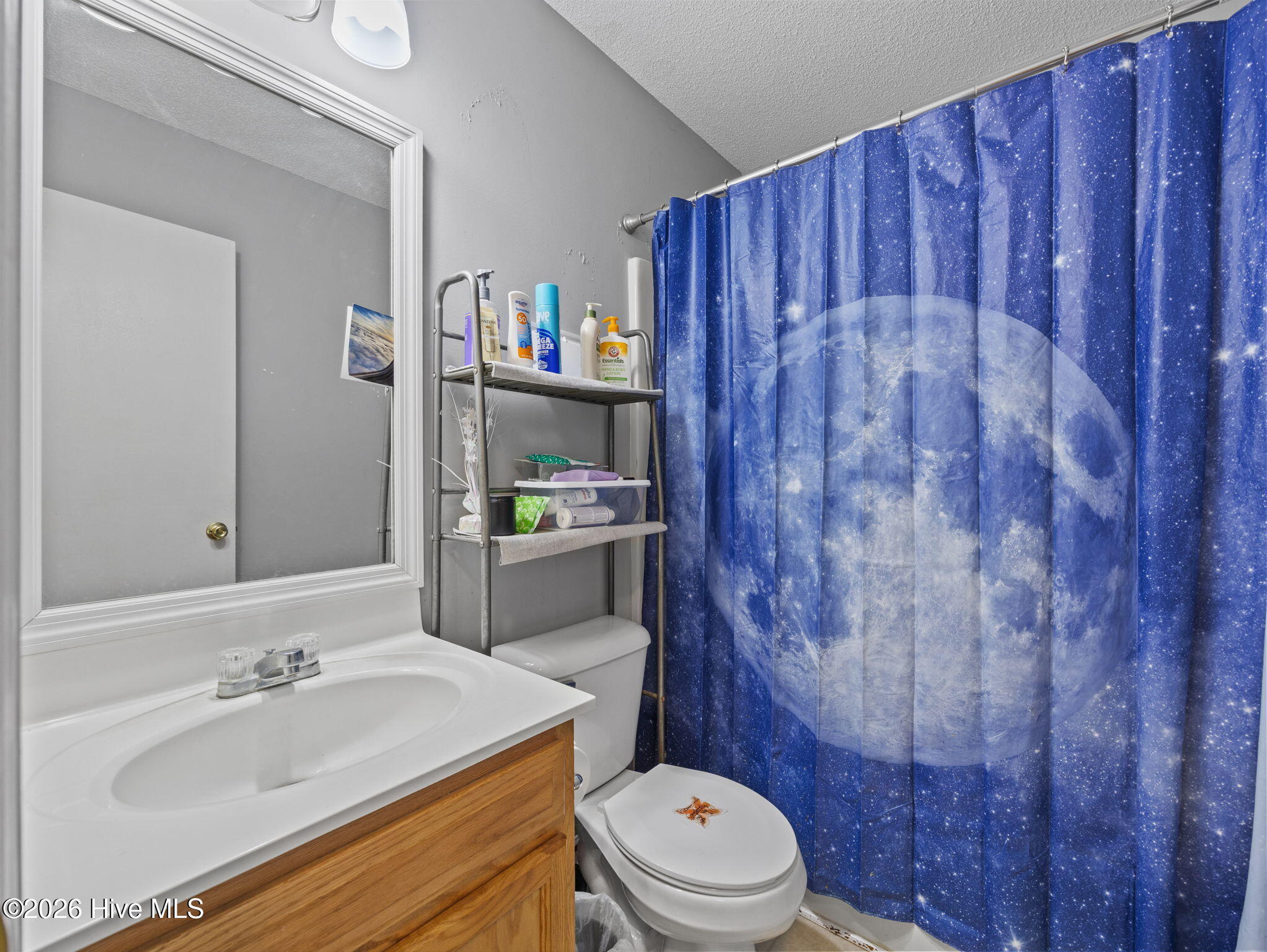 100562262 | Photo 13