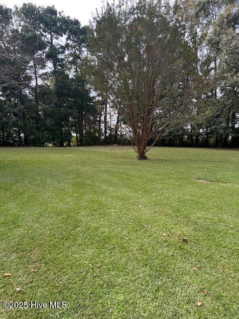 100531539 | Photo 18