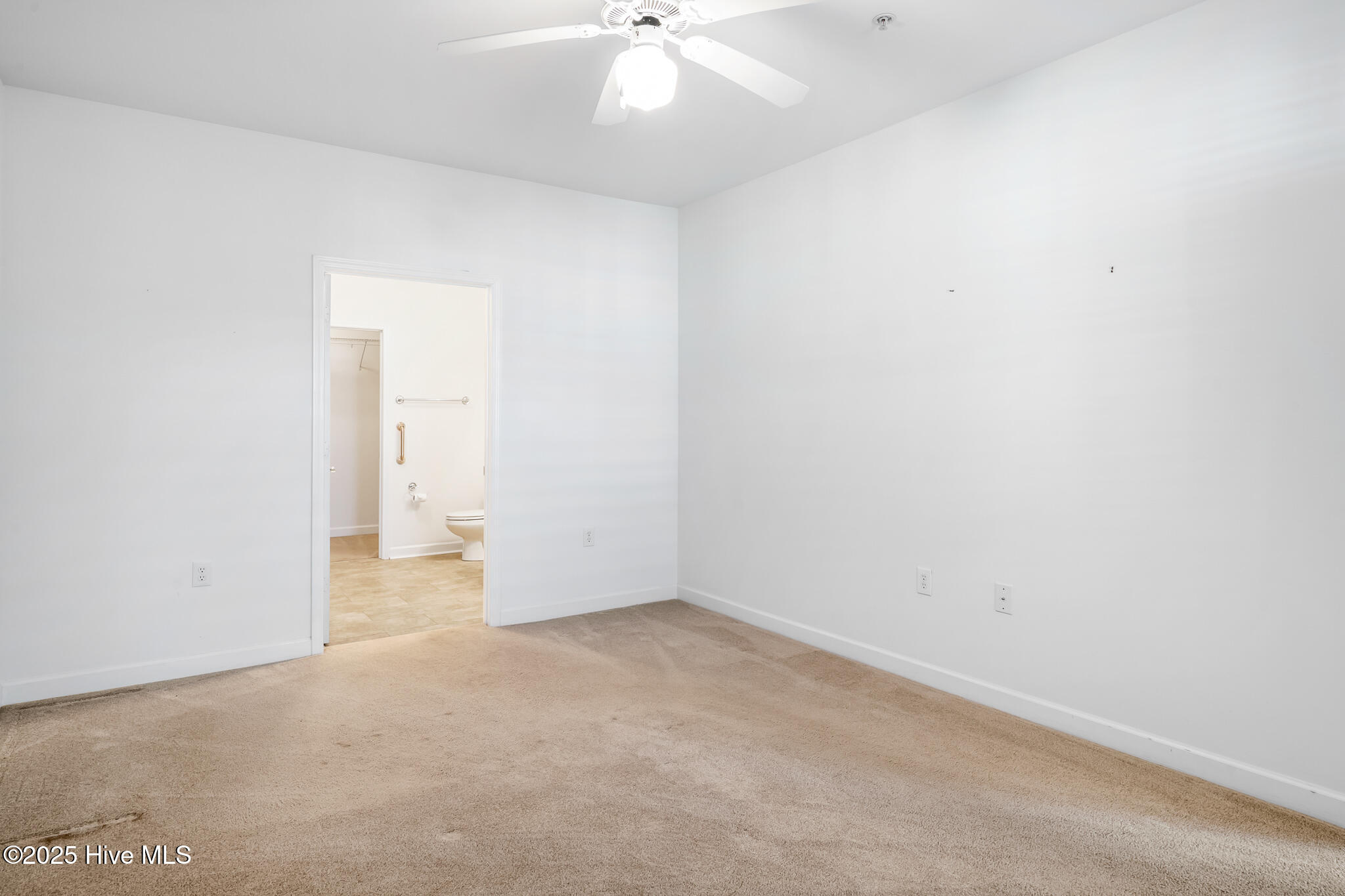 100546271 | Photo 10