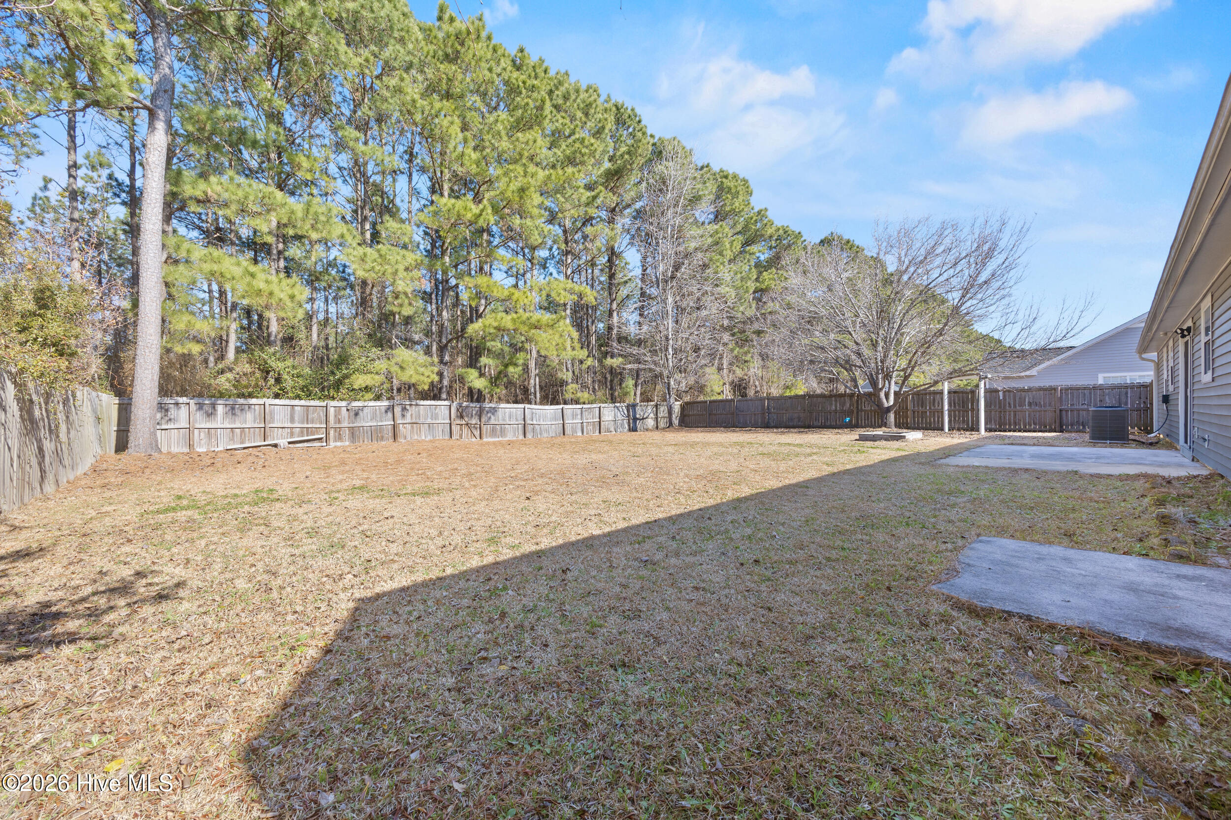 100556766 | Photo 27