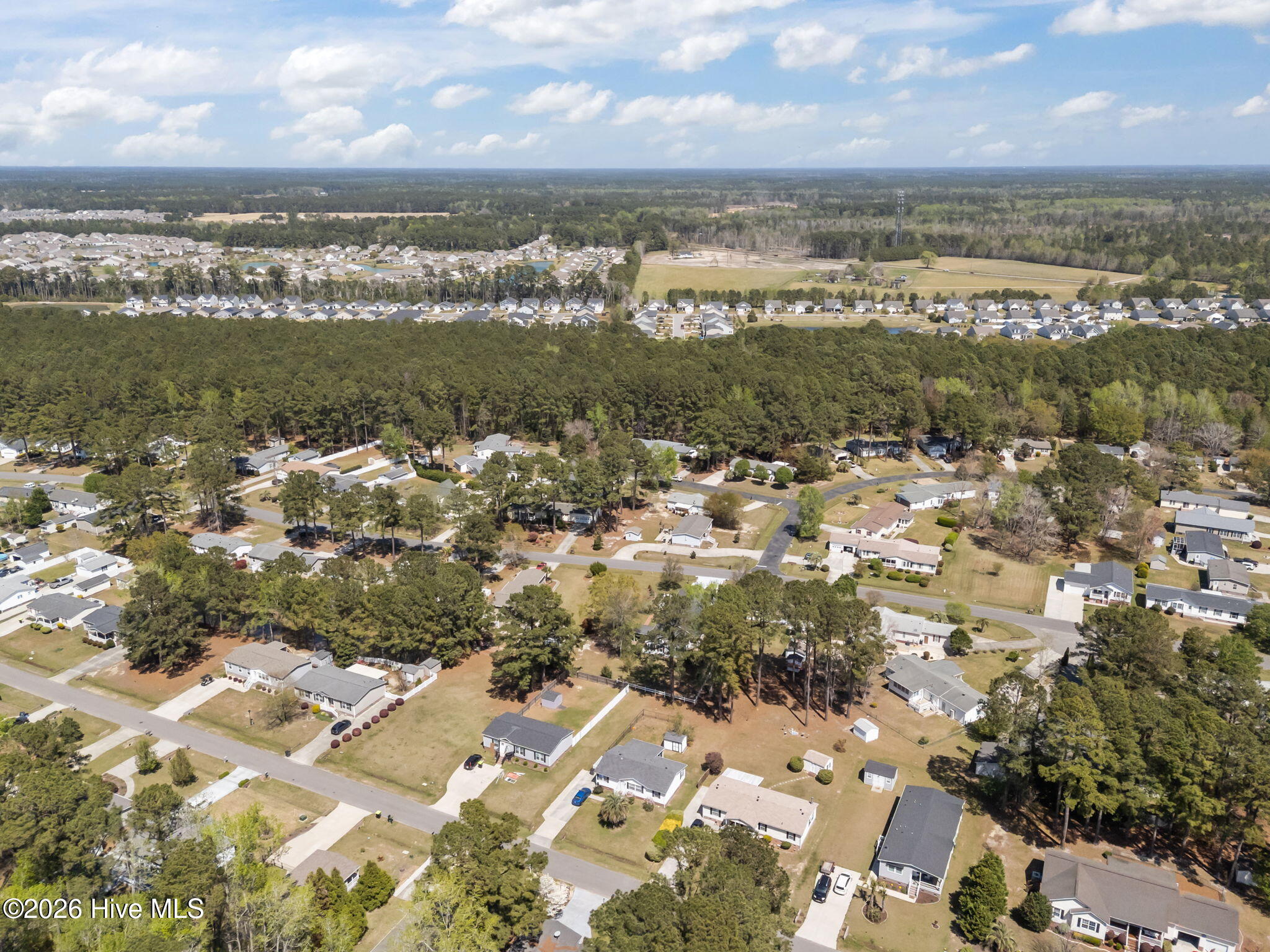 100564707 | Photo 63