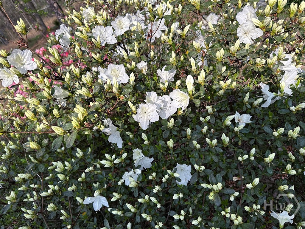 1104 Farm Road, Colbert, GA, 30628