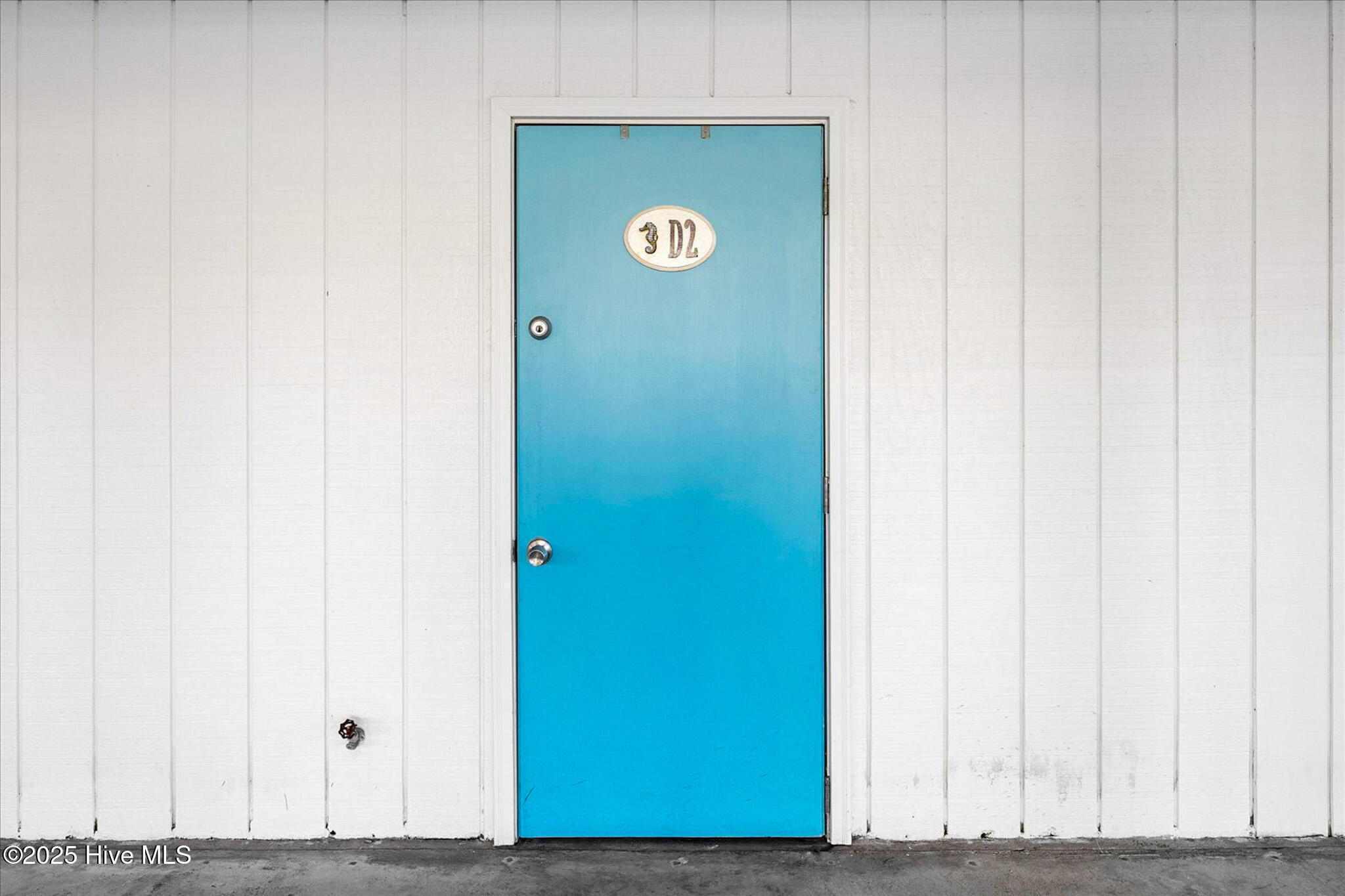 100541964 | Photo 37