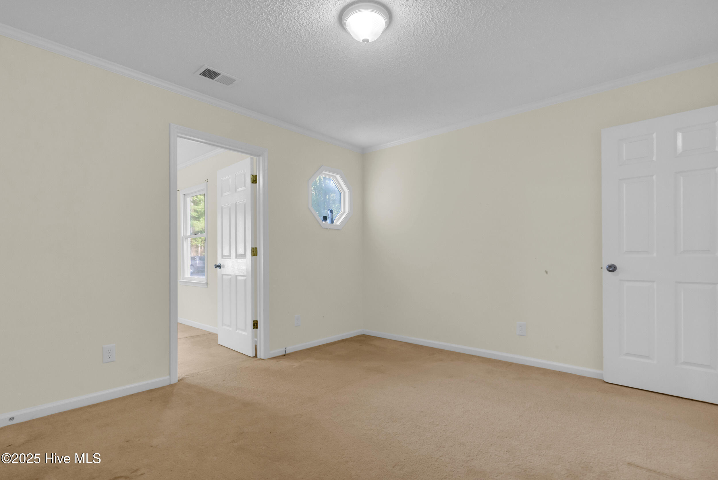 100537438 | Photo 17