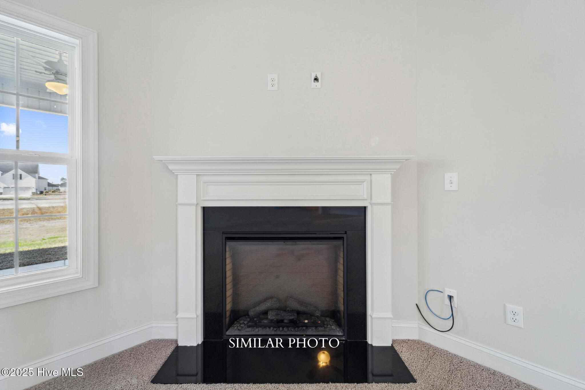 205 Windsor Run Boulevard, Jacksonville, NC 28546 – photo 7: SIMILAR PHOTO 9 (5)