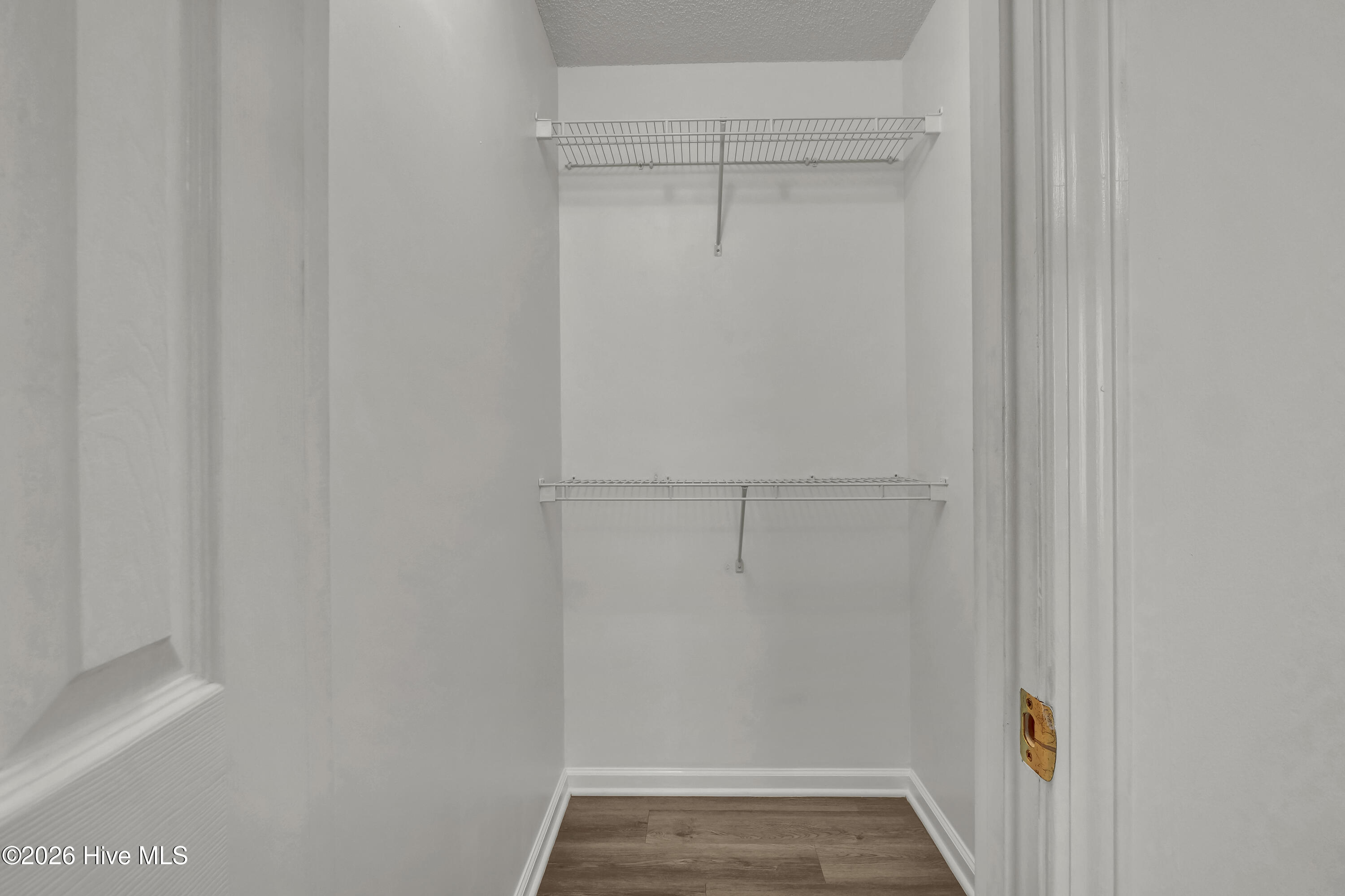 100564237 | Photo 19