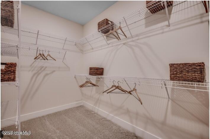 67 Lilaput Circle, Wilmington, NC 28411 – photo 15: Primary Closet