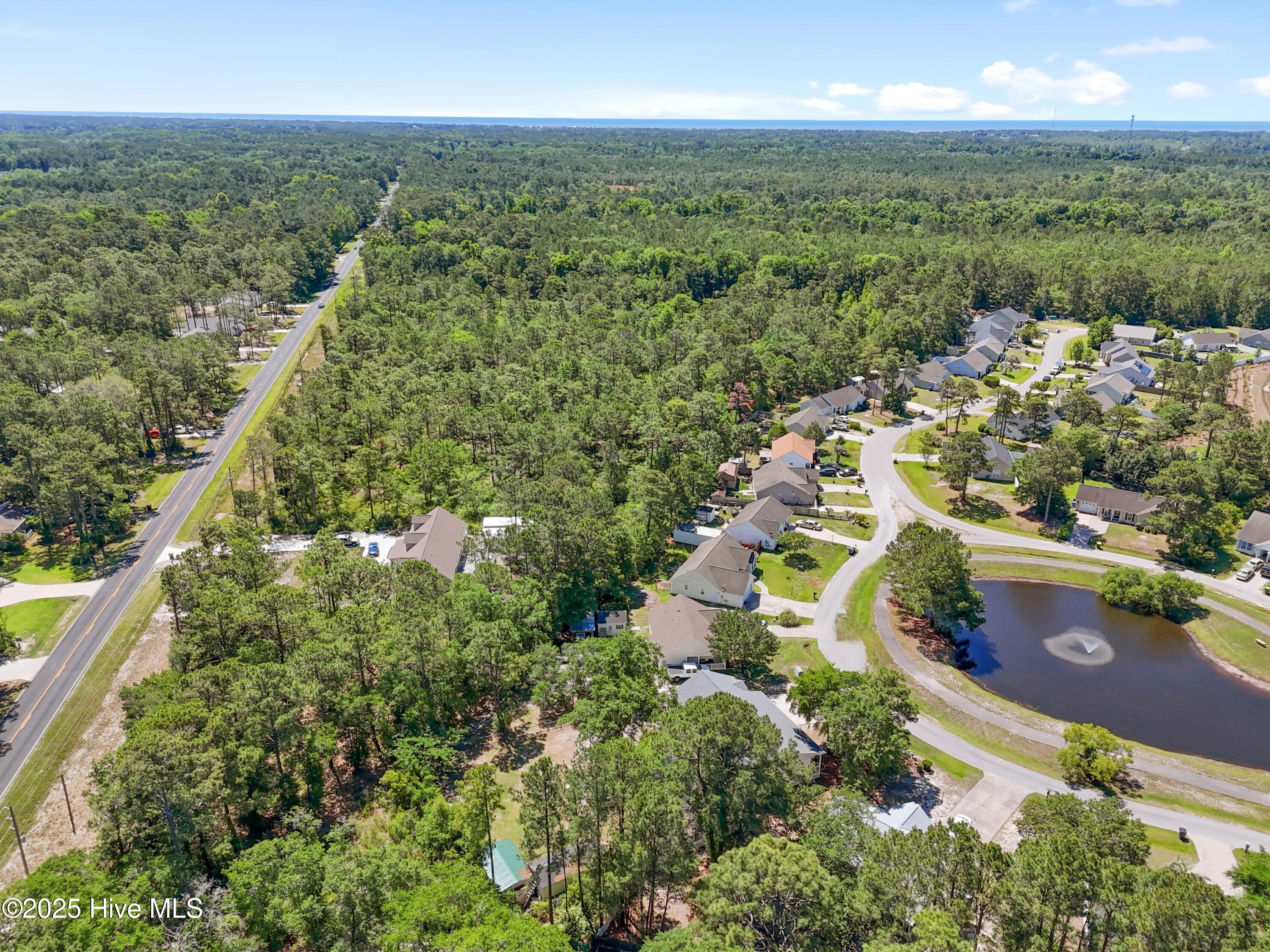 100509248 | Photo 51