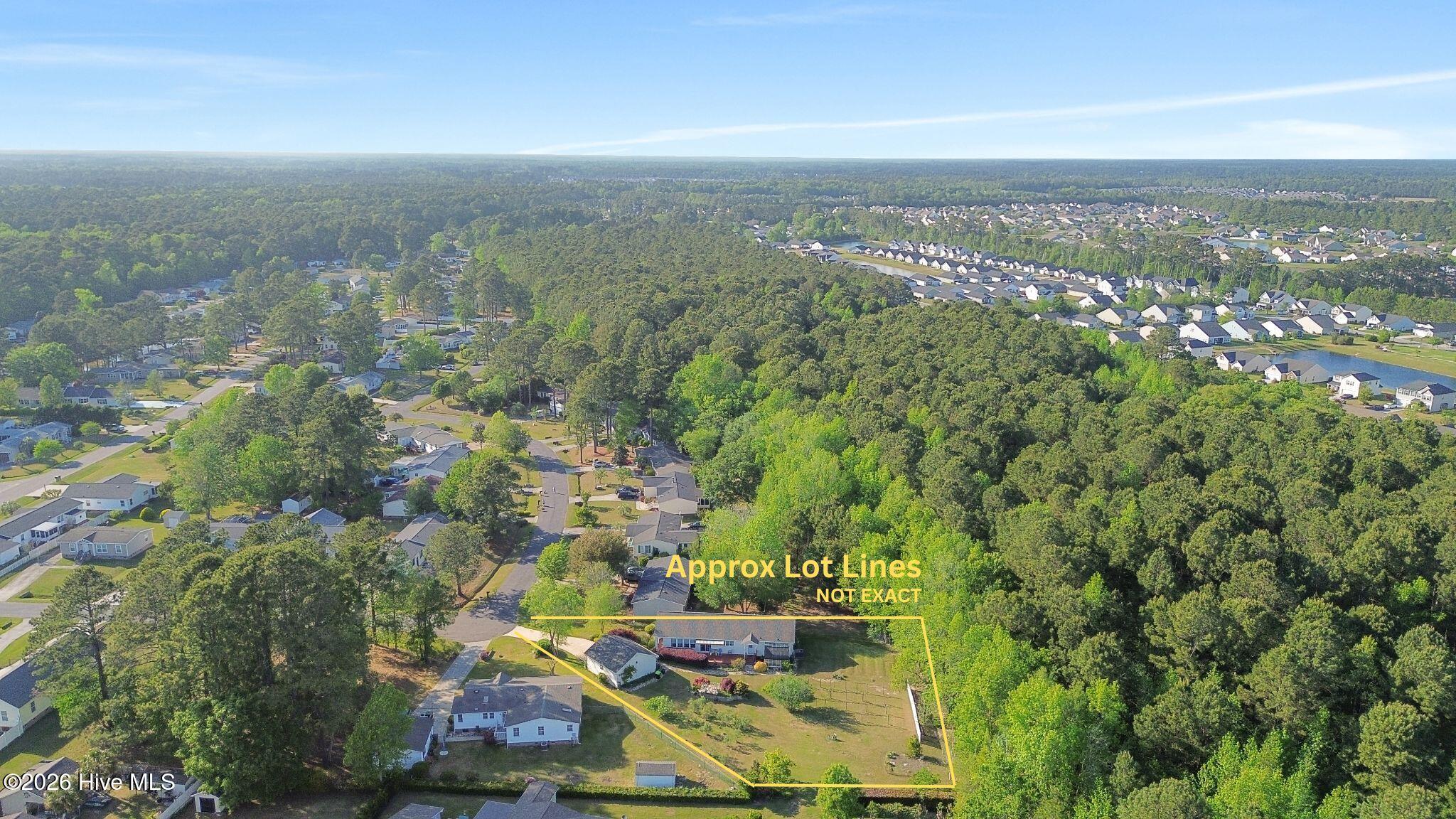 100568231 | Photo 49